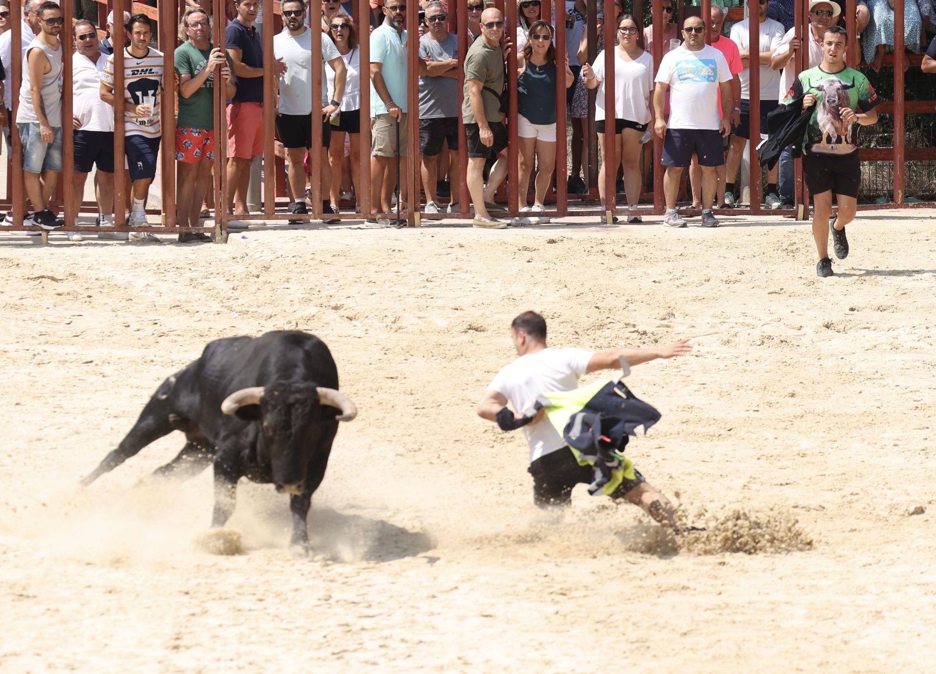 Encierro del viernes en Viana de Cega