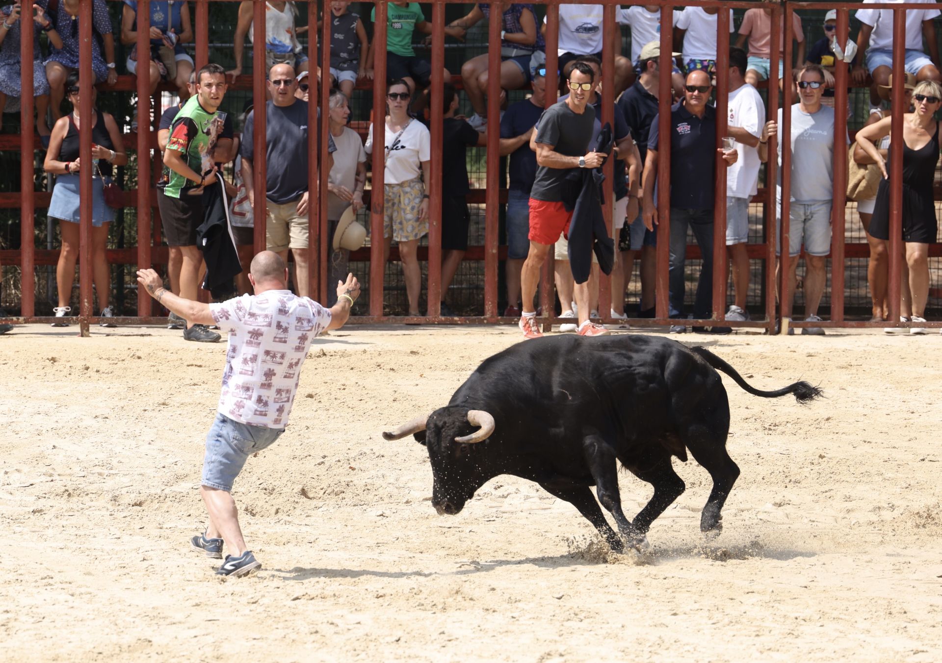 Encierro del viernes en Viana de Cega