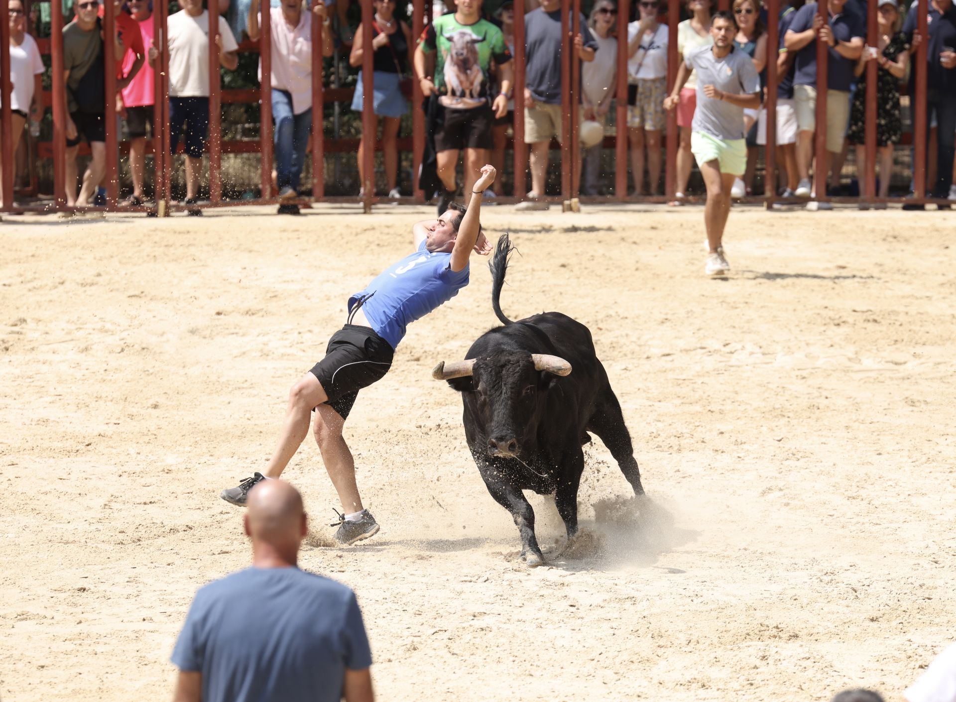 Encierro del viernes en Viana de Cega