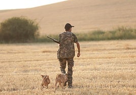 Primera jornada de la media veda de caza.