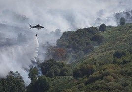 En la foto, labores de extinción del incendio de Porto; en el vídeo, las llamas alcanzan una altura superior a la de los árboles en ese mismo fuego.