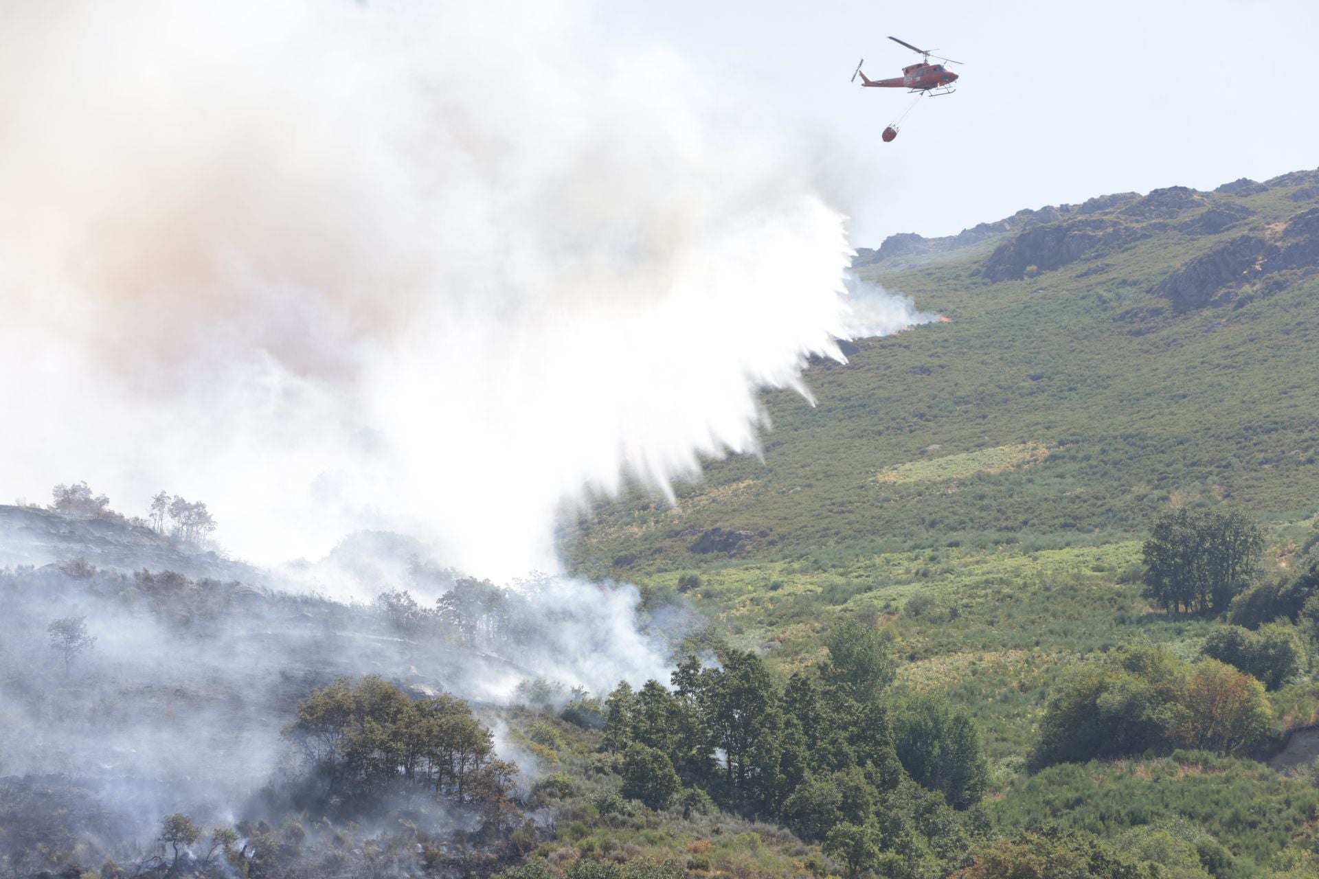 Incendio en Porto de Sanabria, Zamora