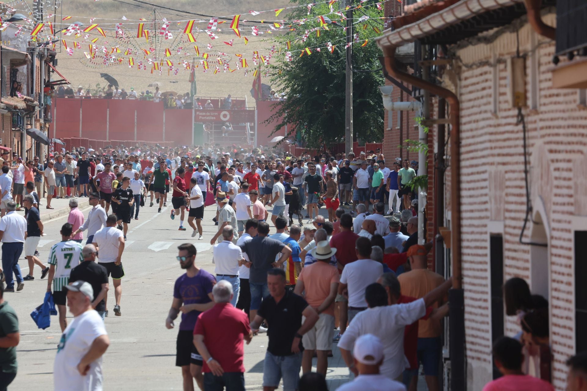 Toro del Verdejo en Rueda