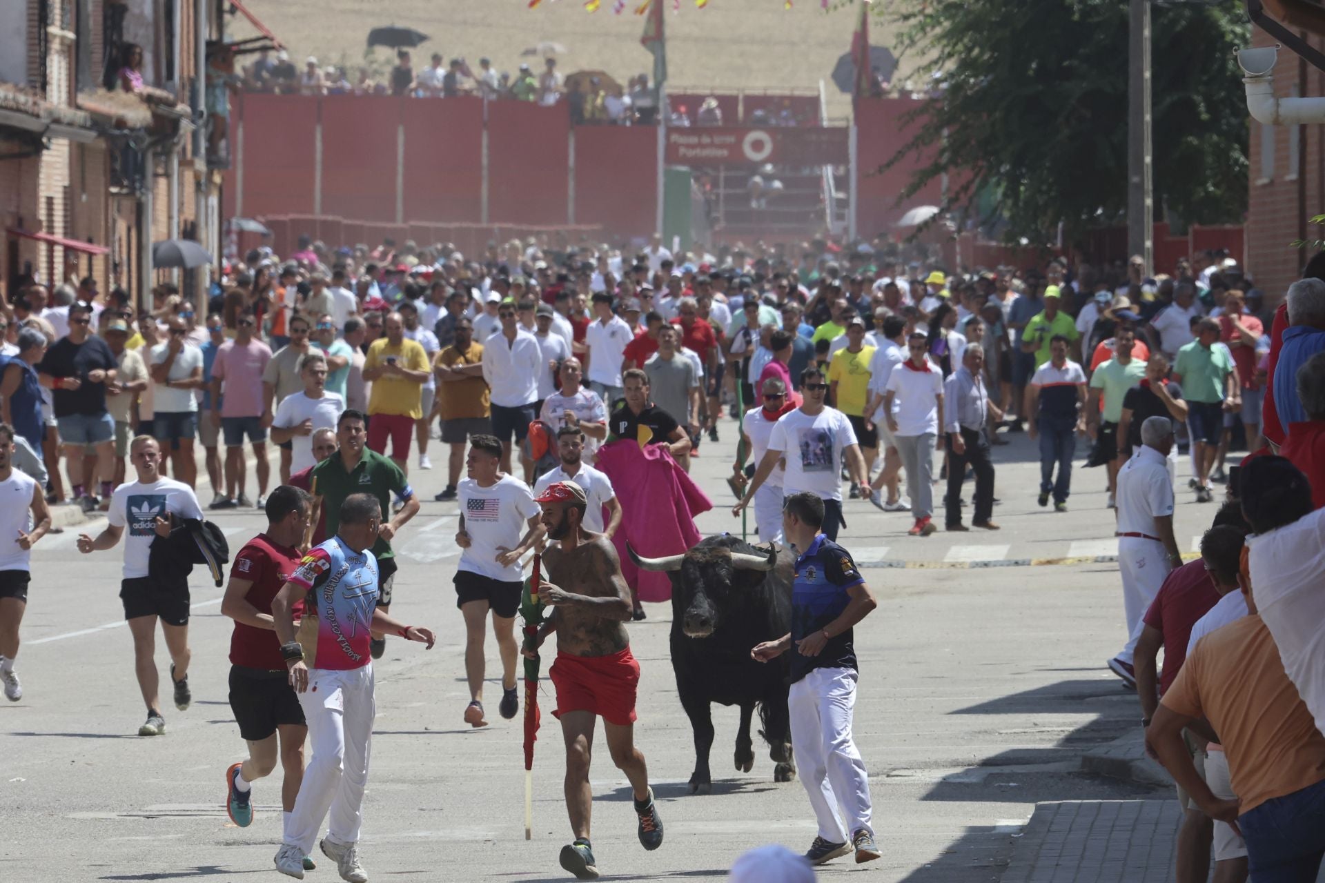 Toro del Verdejo en Rueda