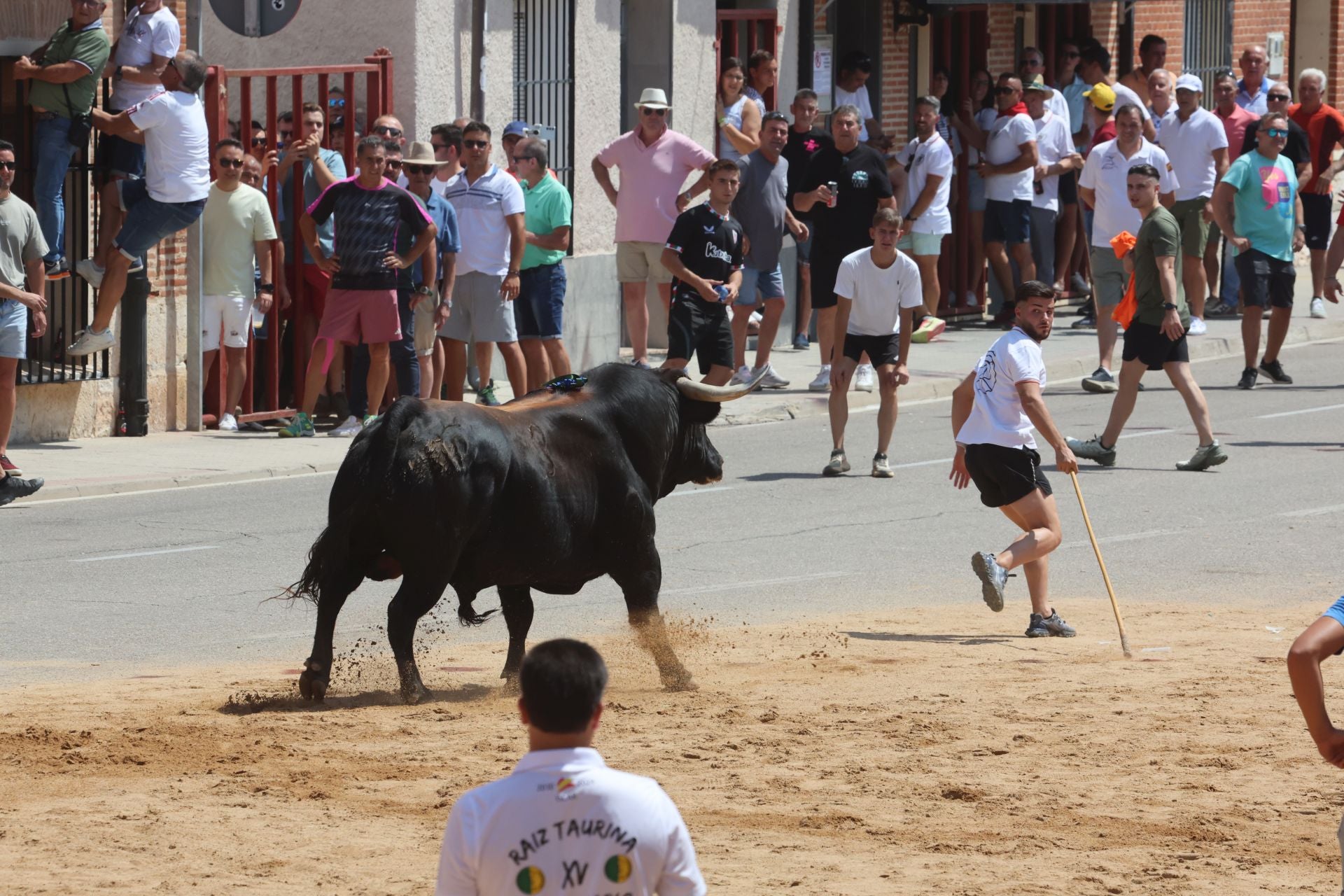 Toro del Verdejo en Rueda