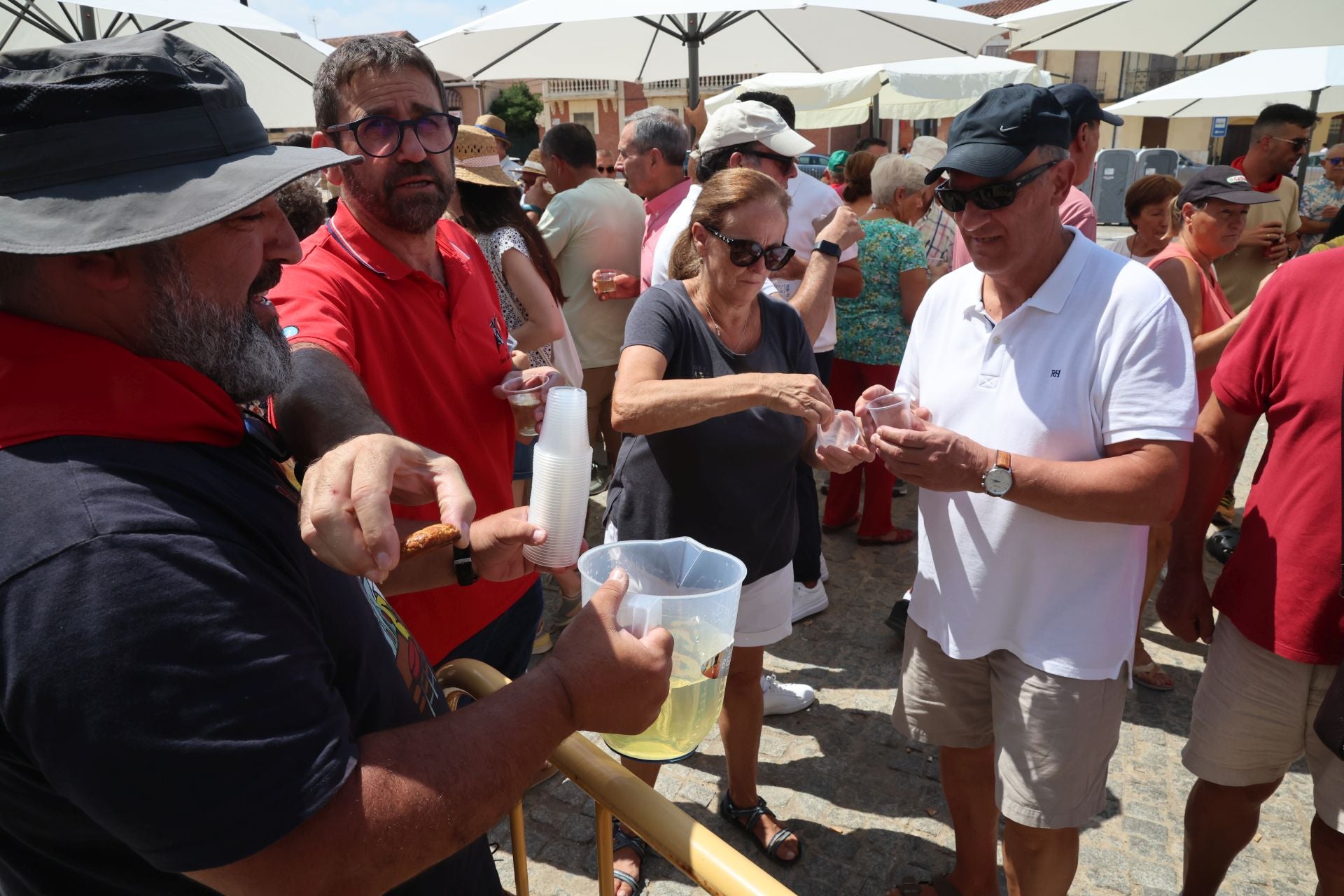 Toro del Verdejo en Rueda