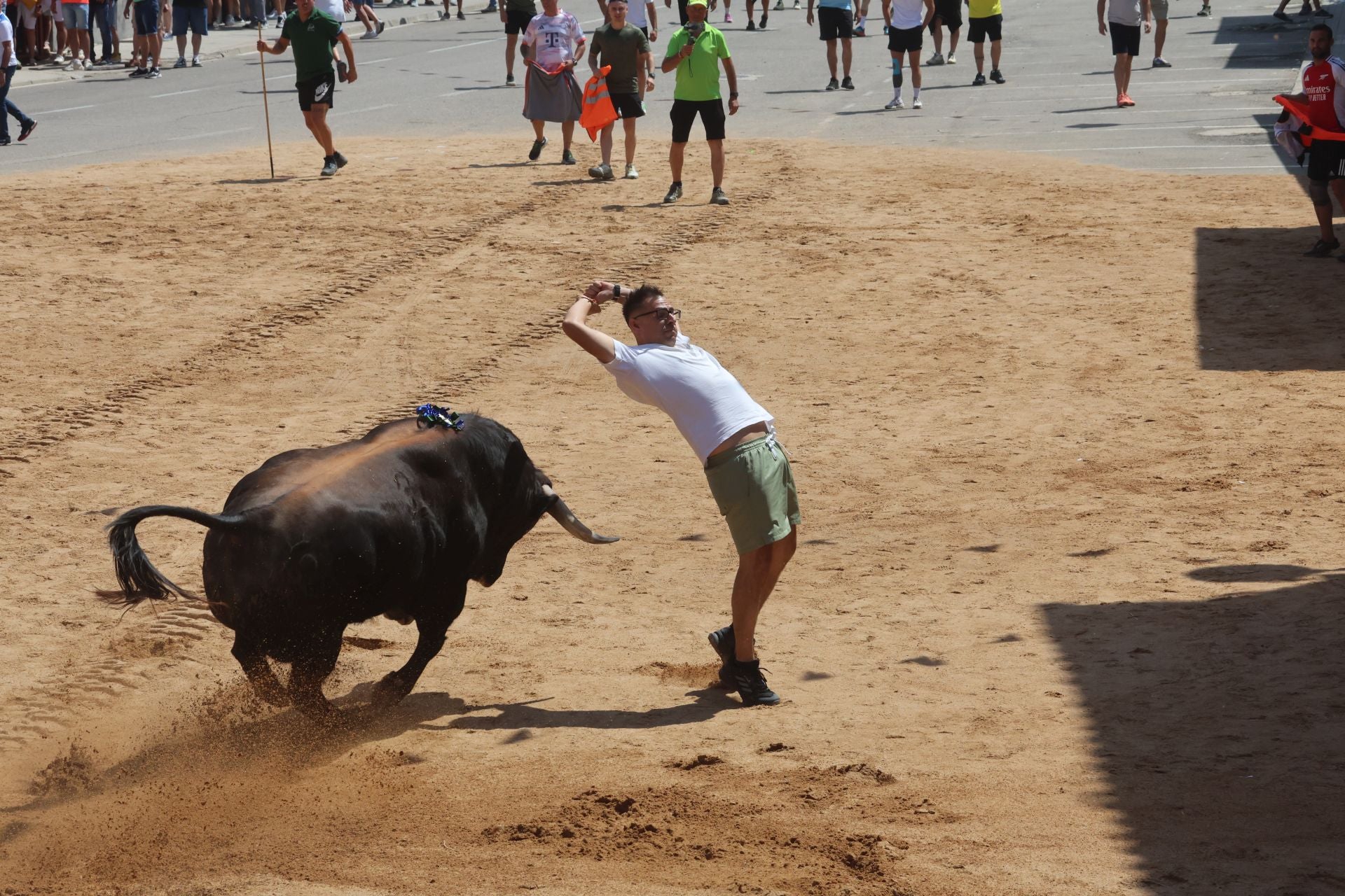 Toro del Verdejo en Rueda