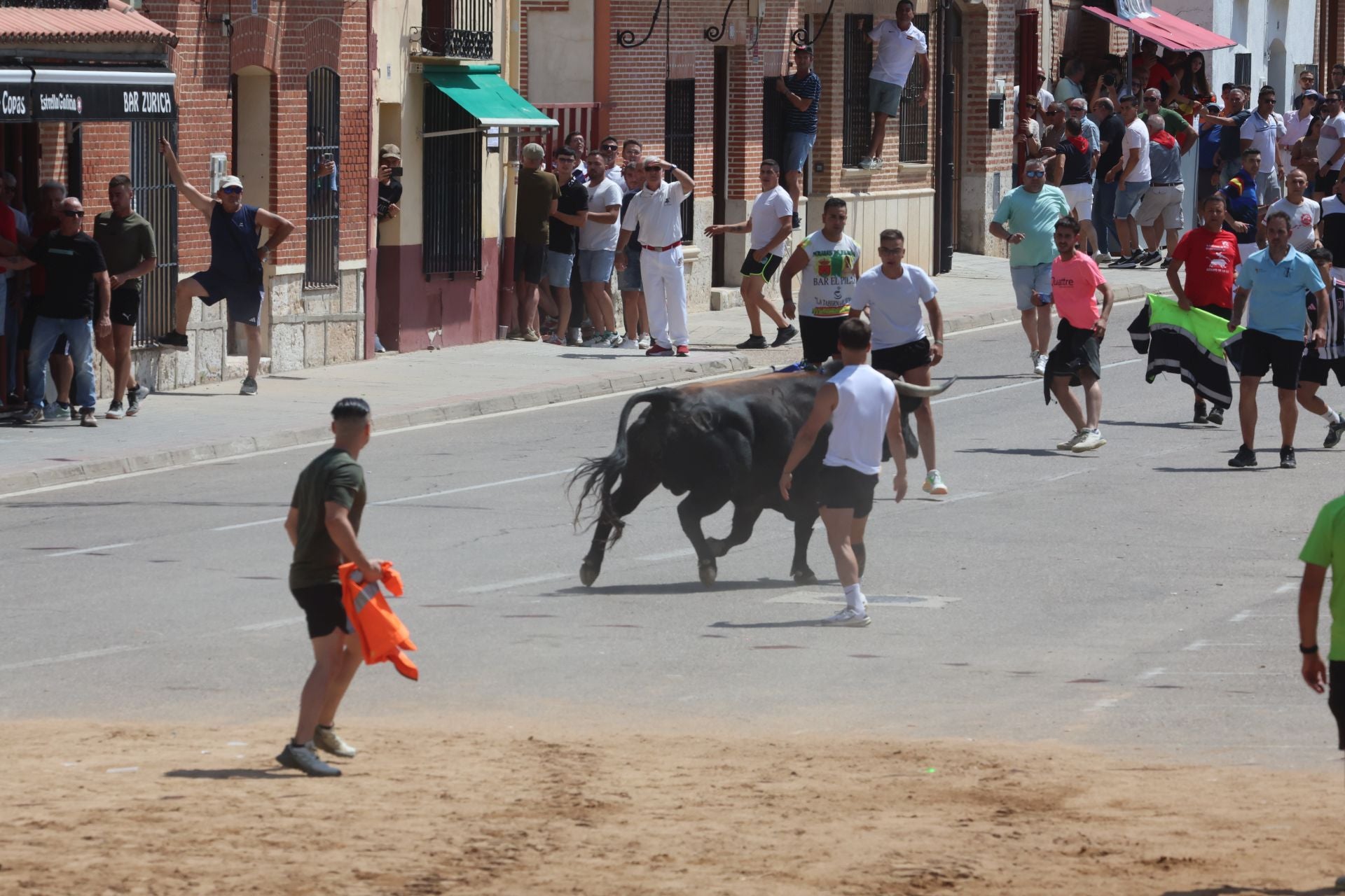 Toro del Verdejo en Rueda