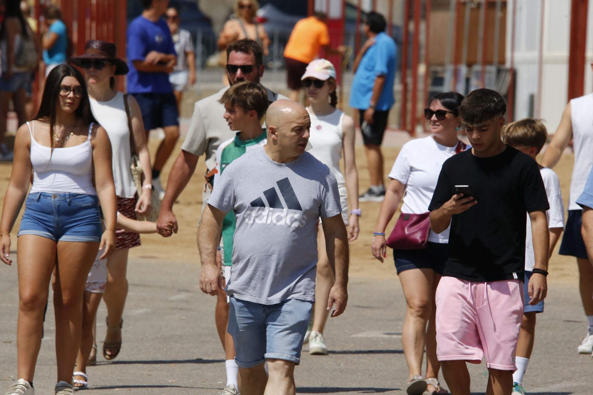 Toro del Verdejo en Rueda
