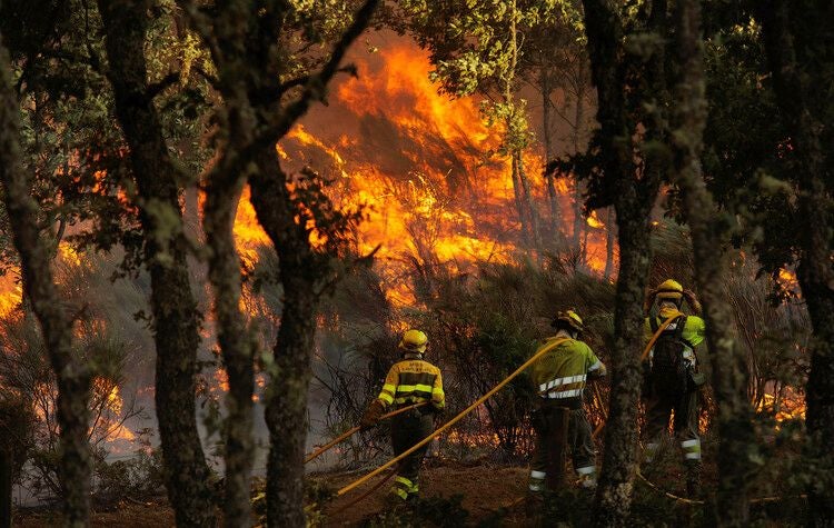 El incendio forestal en El Payo en nivel 2