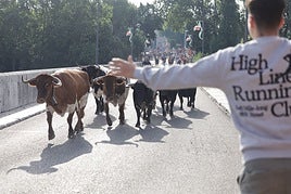 Las imágenes del encierro de Tudela de Duero de este sábado