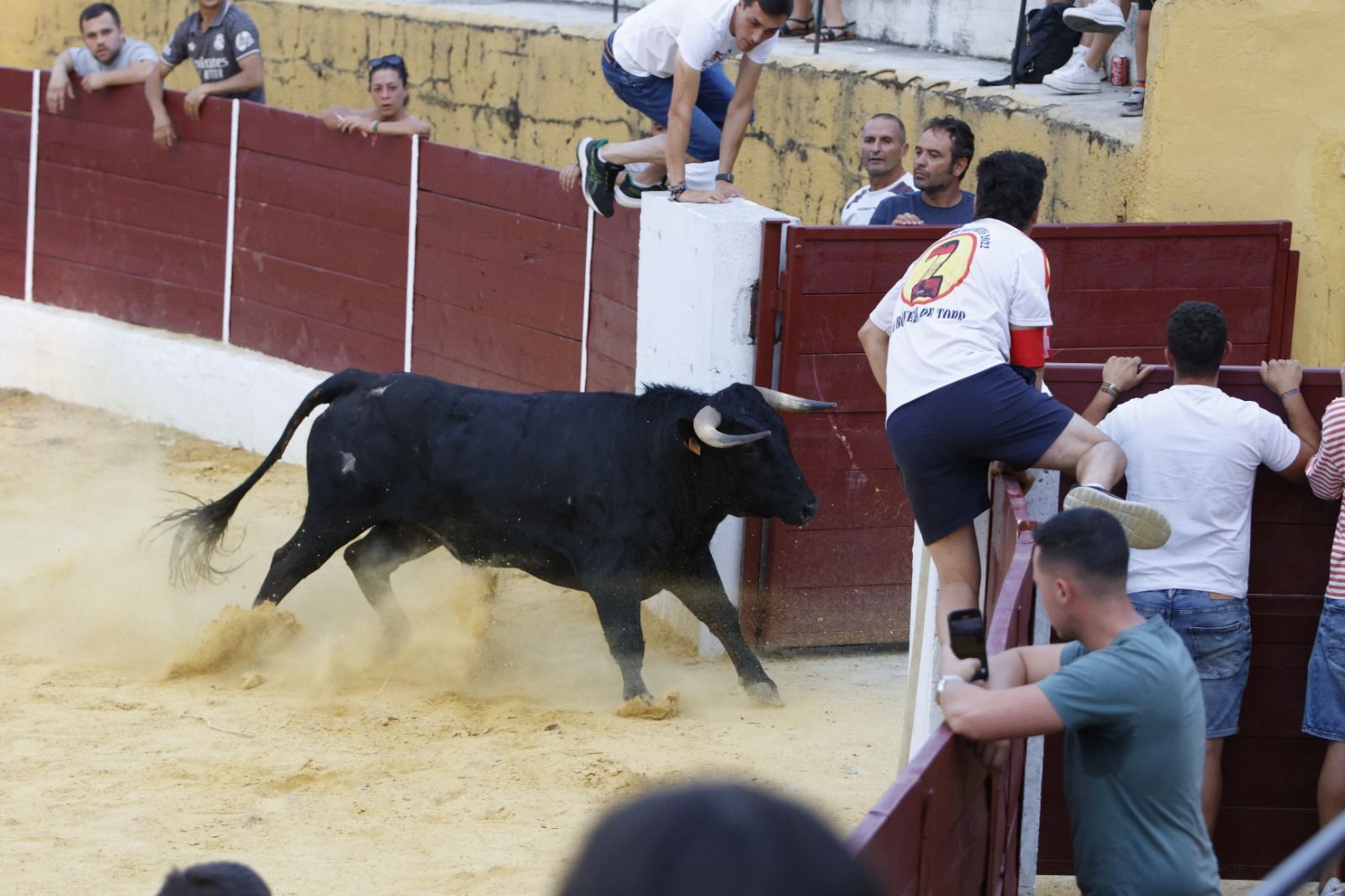El encierro de Pollos, en imágenes