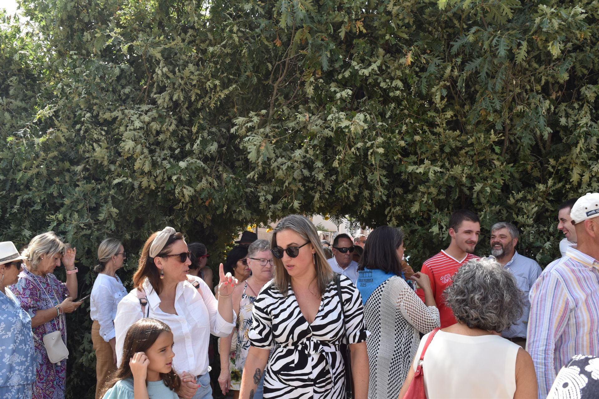 Fiestas de San Roque en Cervera de Pisuerga