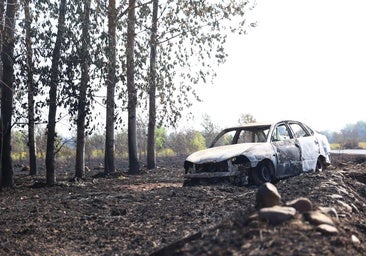 Se complica la situación en algunos incendios forestales de León con «un comportamiento explosivo»