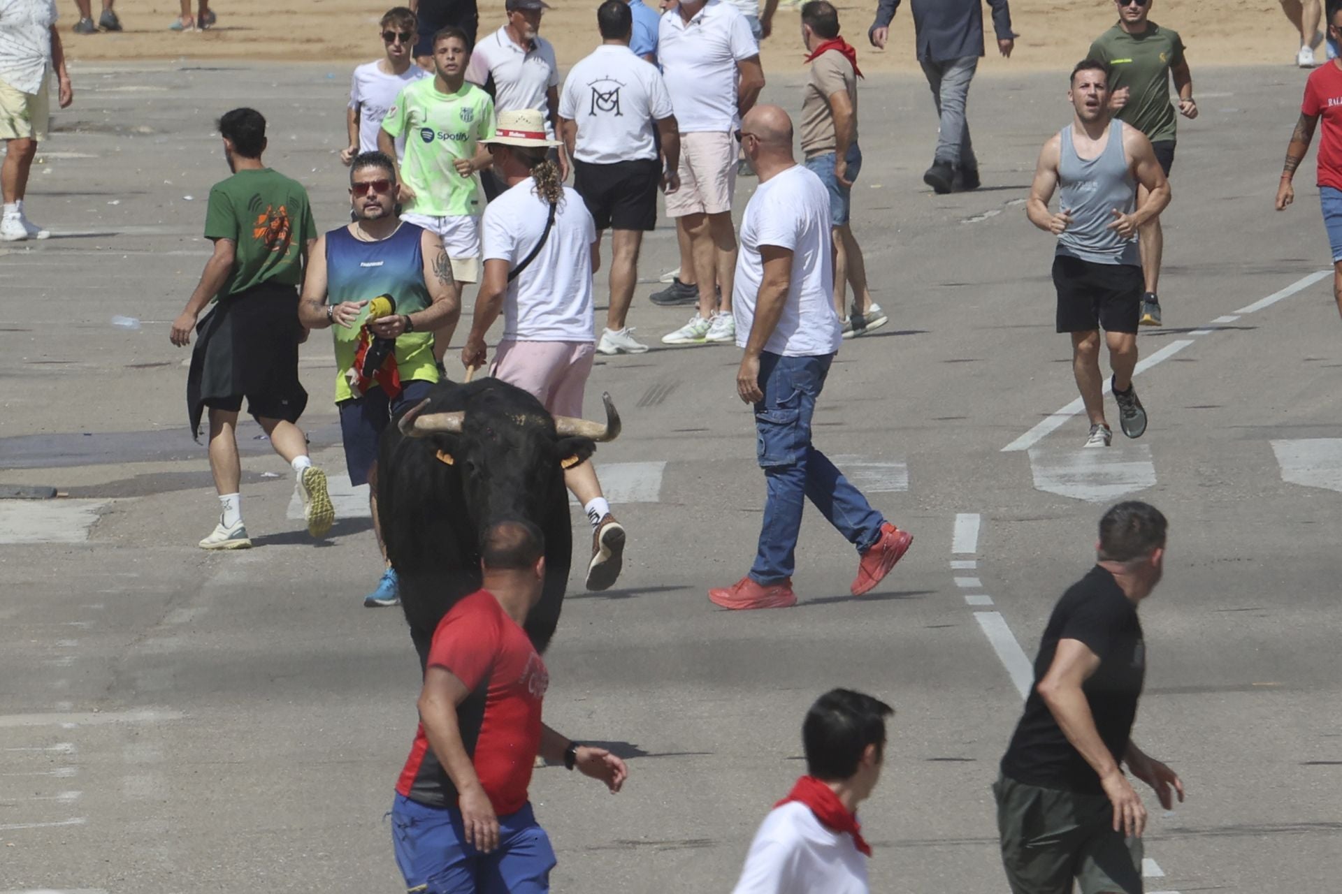 Tercer encierro en las fiestas de Rueda