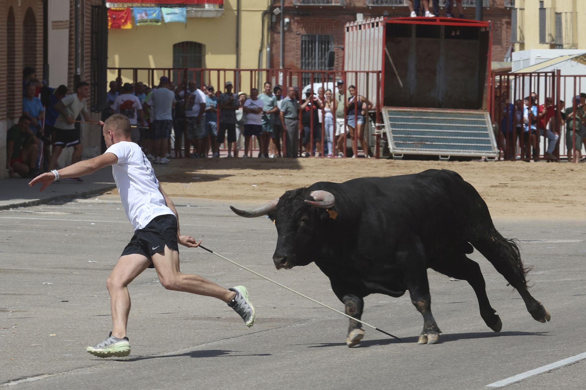 Tercer encierro en las fiestas de Rueda