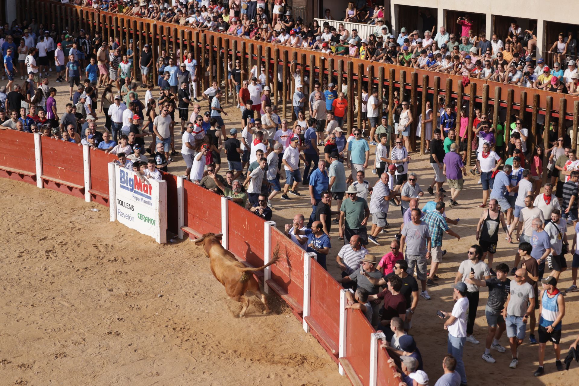 Encierro y capea del sábado en Peñafiel