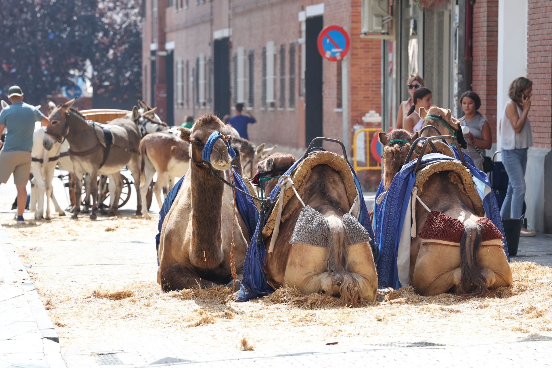 Ambiente en la Feria Renacentista de Medina del Campo este sábado