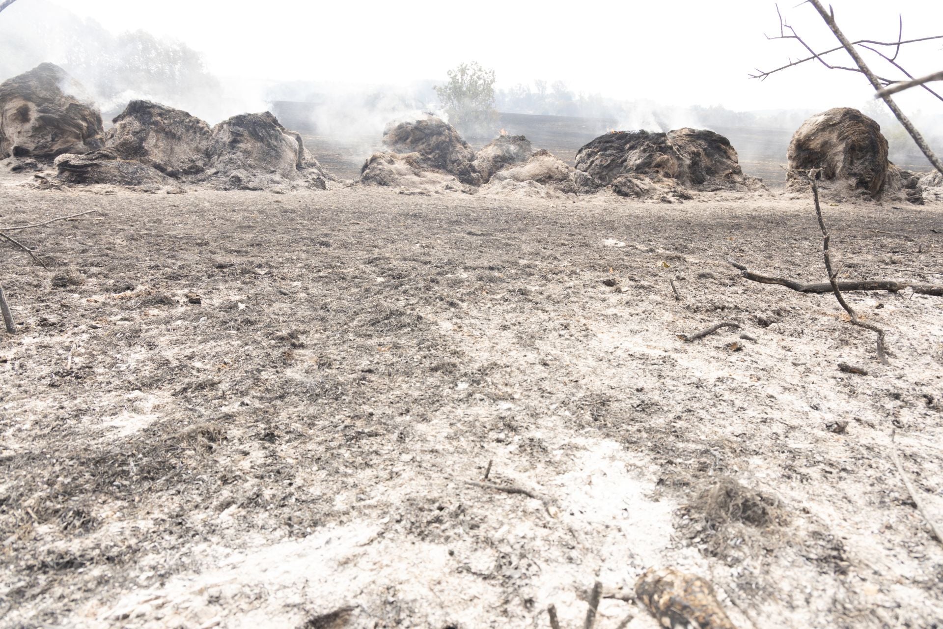 Las imágenes del incendio de Canalejas