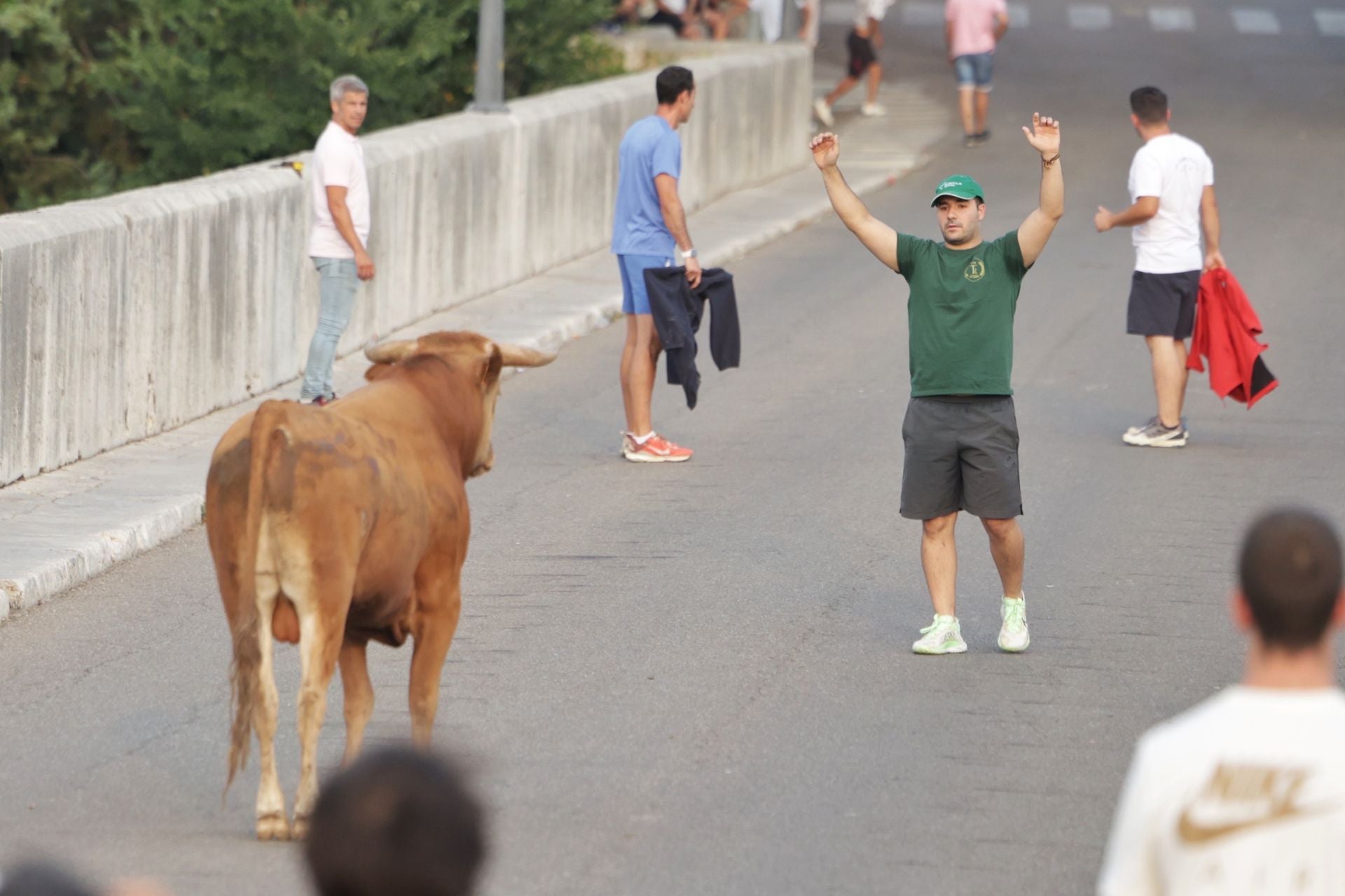 El encierro de Tudela de Duero, en imágenes