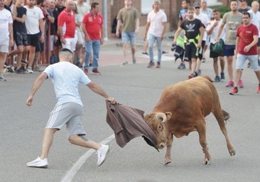 Tudela de Duero celebra un encierro concurso de ganaderías