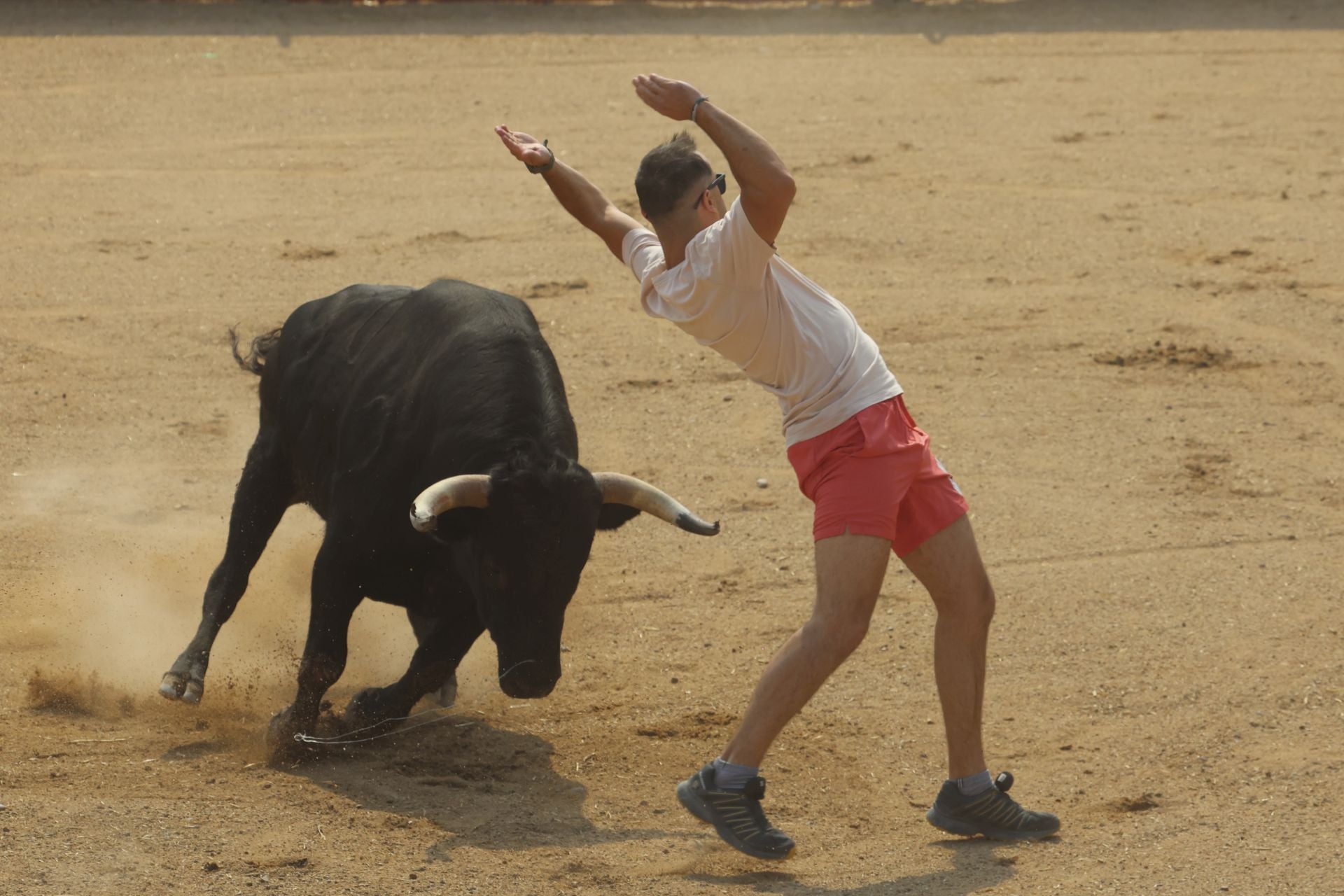 Encierro del domingo en las fiestas de Rueda