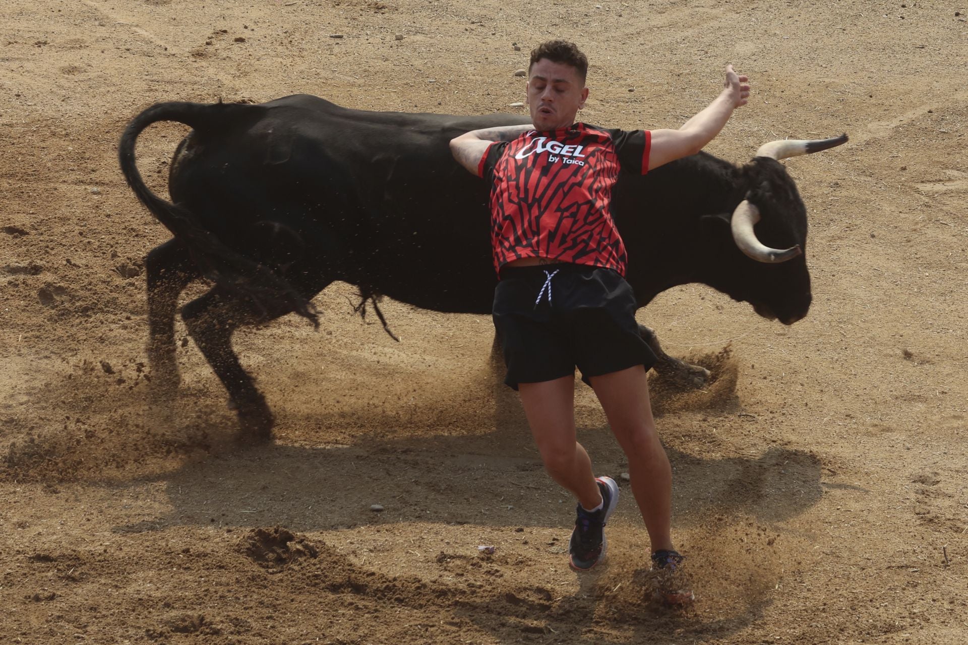 Encierro del domingo en las fiestas de Rueda
