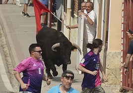 Encierro del domingo en las fiestas de Rueda