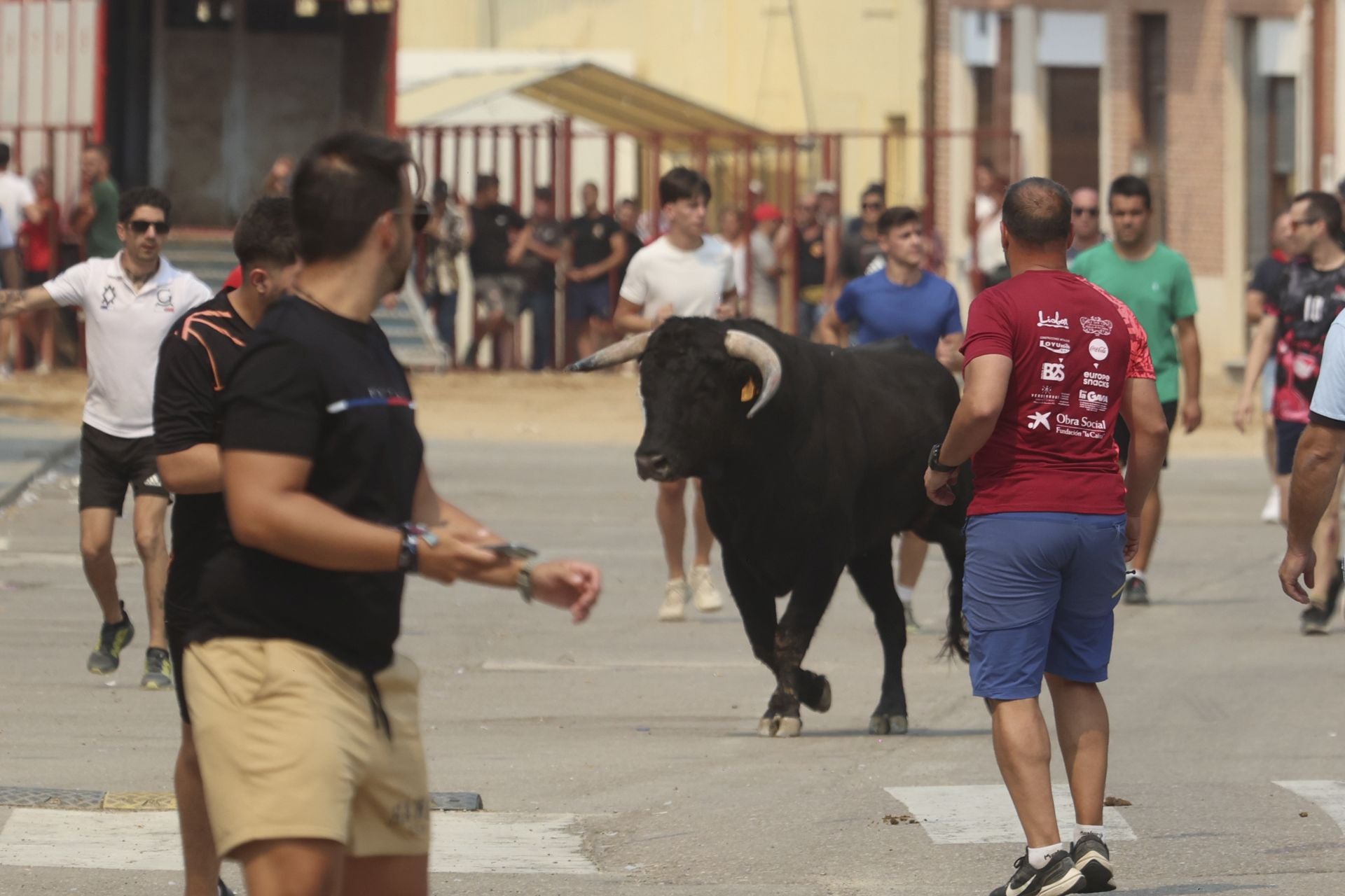 Encierro del domingo en las fiestas de Rueda