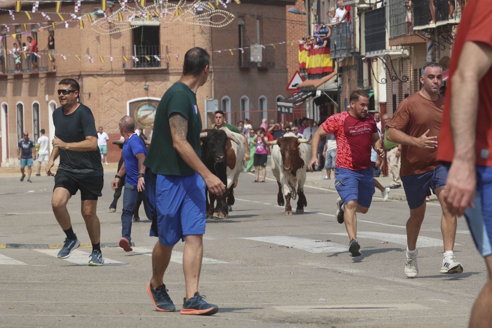 Encierro del domingo en las fiestas de Rueda
