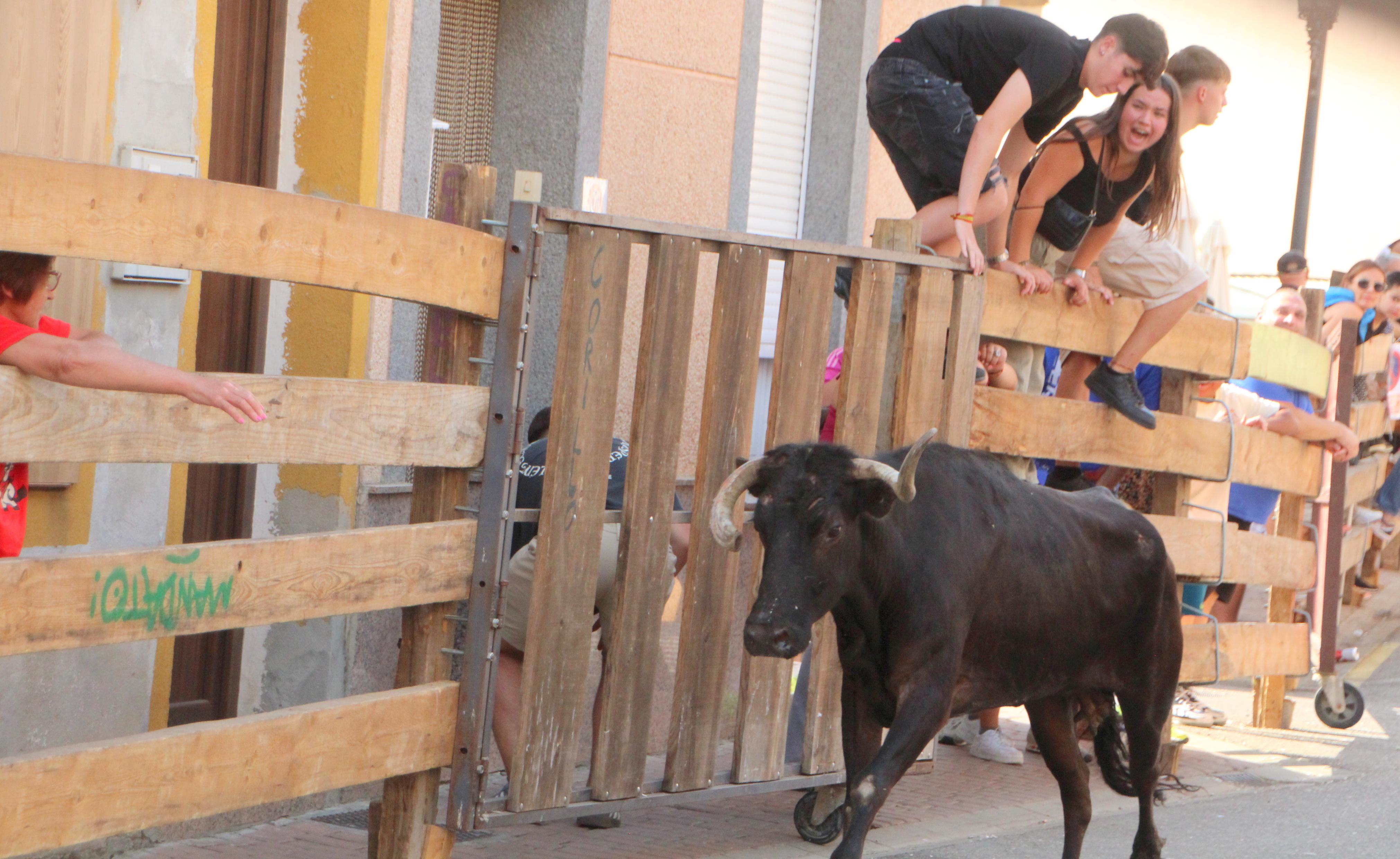 Torquemada disfruta de los Encierros