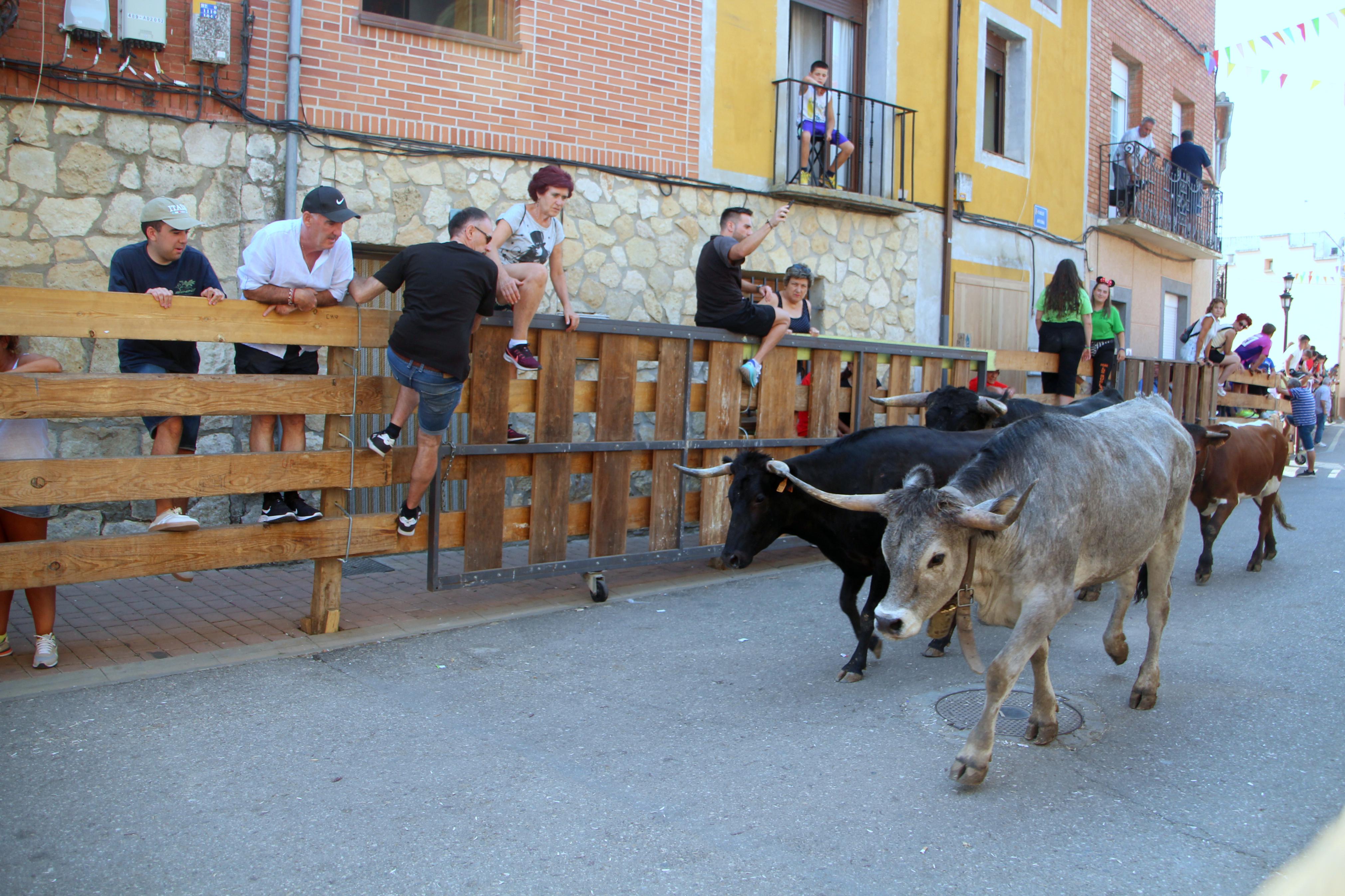 Torquemada disfruta de los Encierros