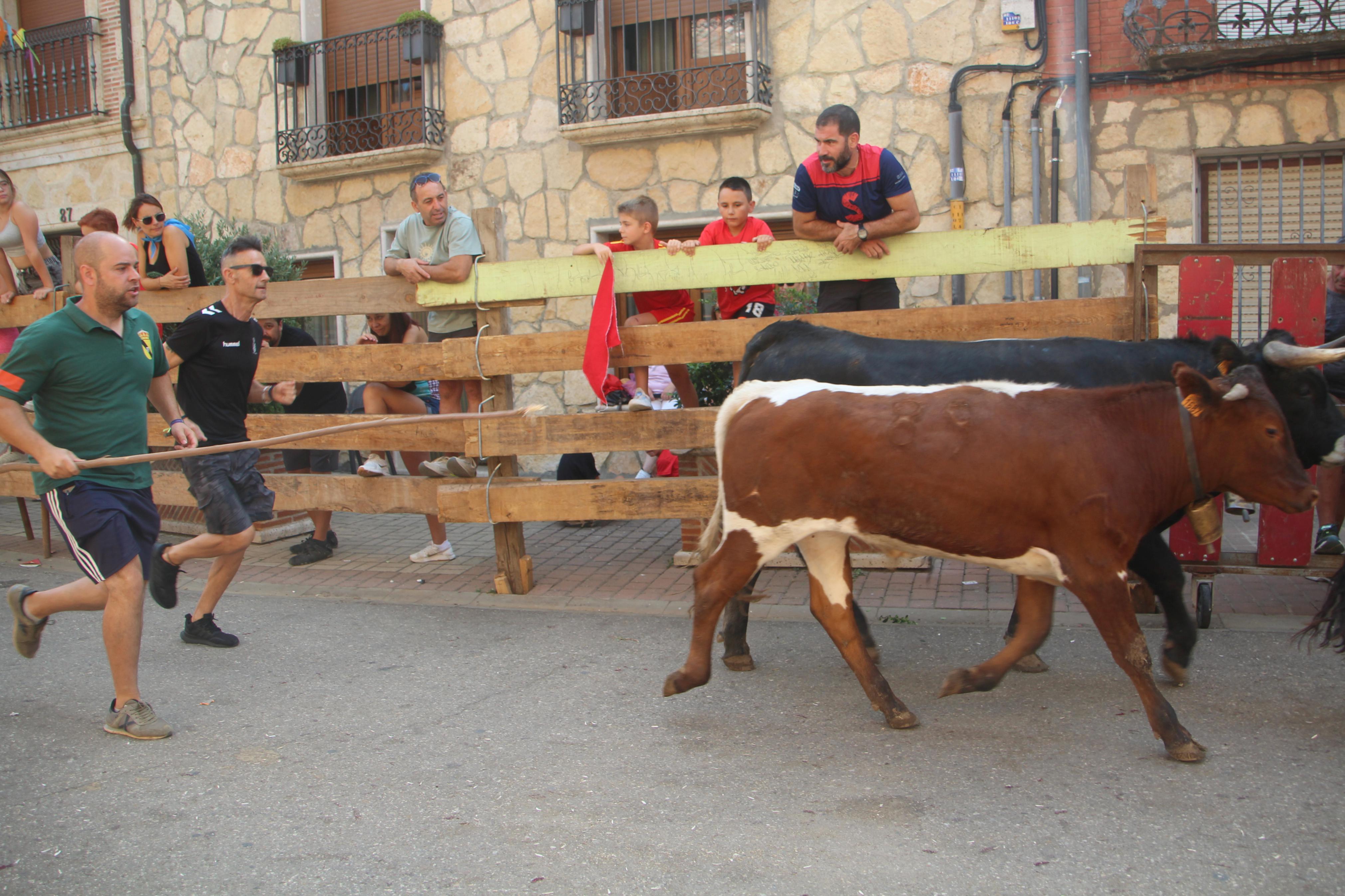 Torquemada disfruta de los Encierros