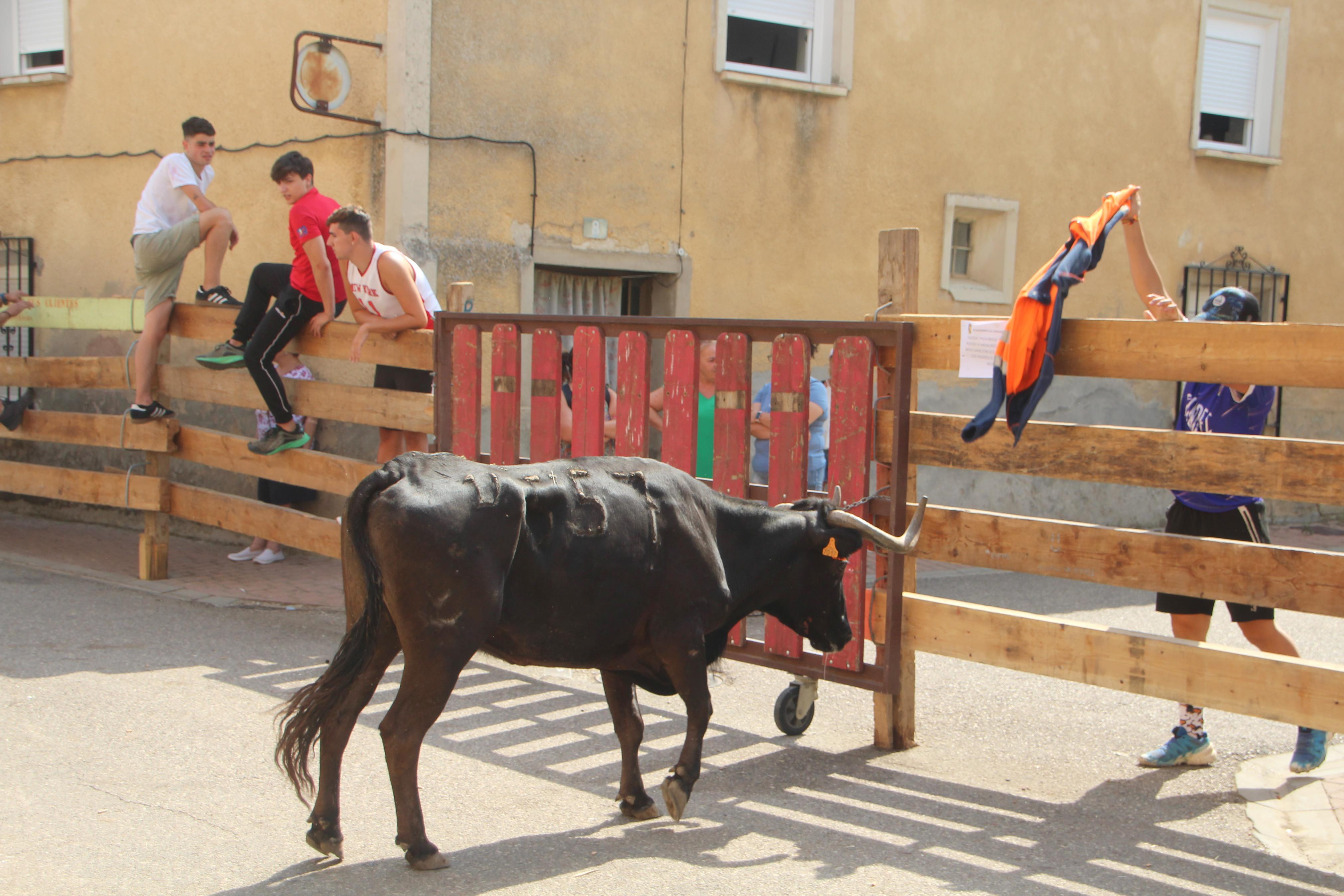 Torquemada disfruta de los Encierros