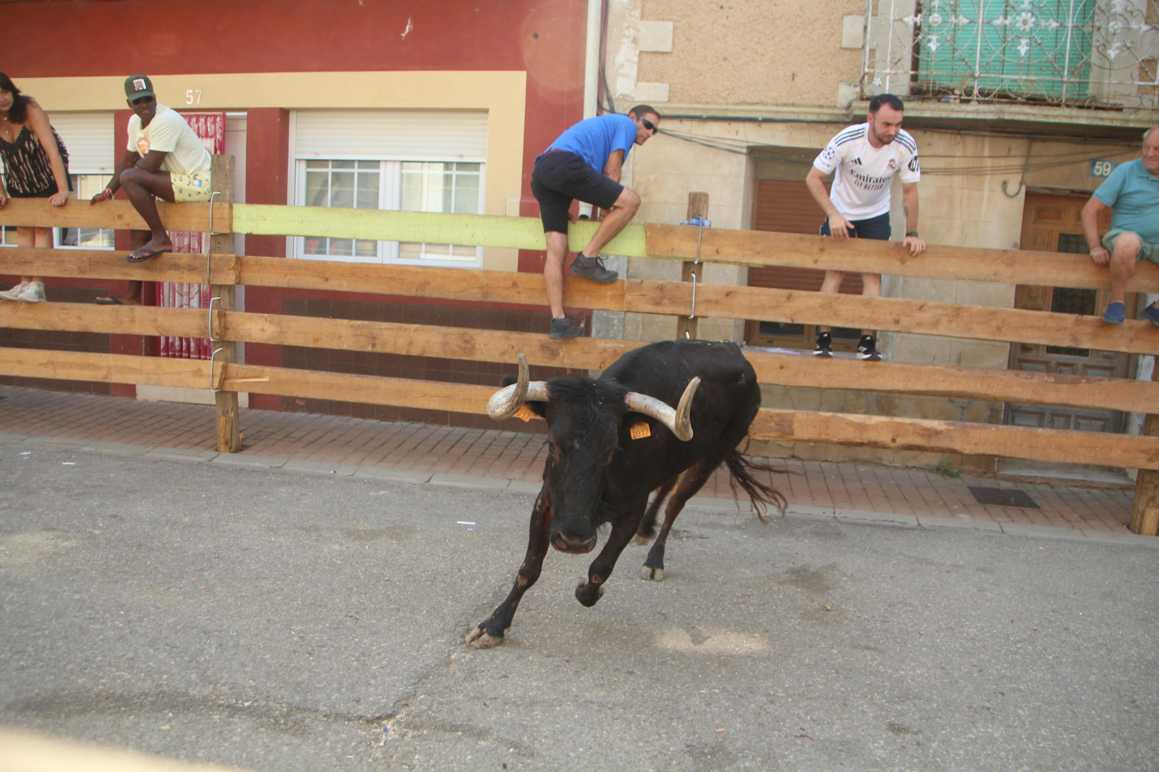 Torquemada disfruta de los Encierros