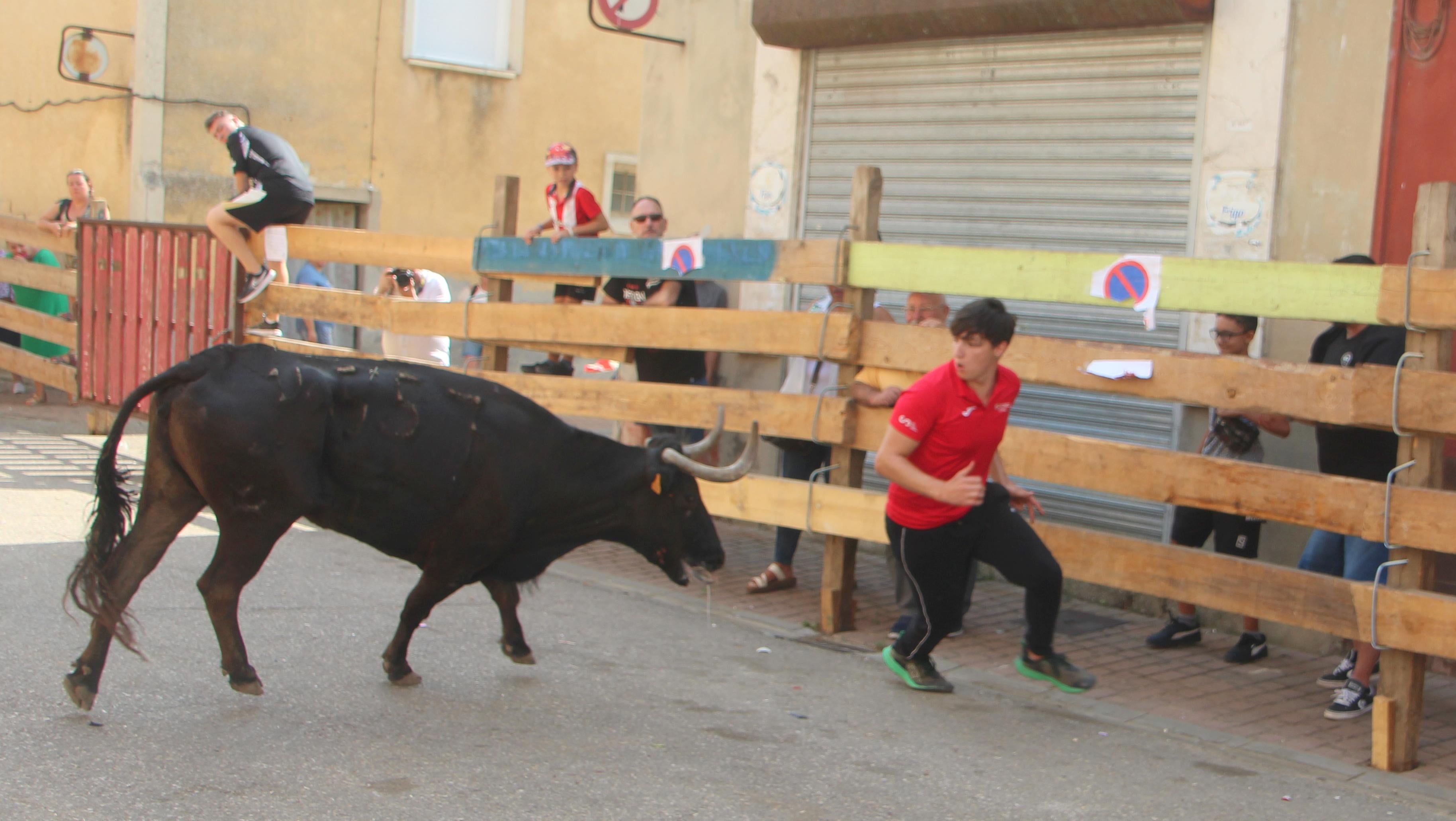 Torquemada disfruta de los Encierros