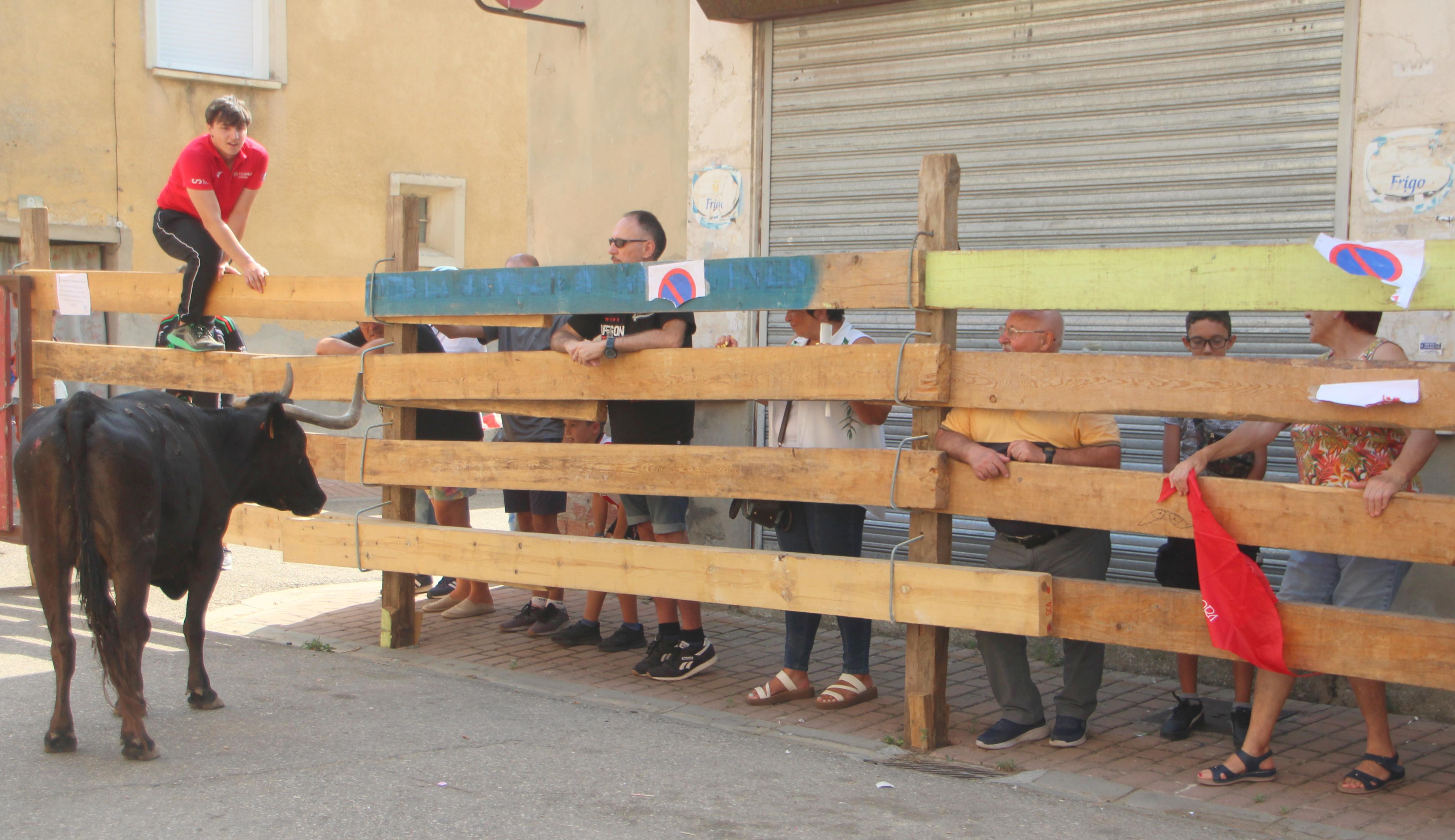 Torquemada disfruta de los Encierros