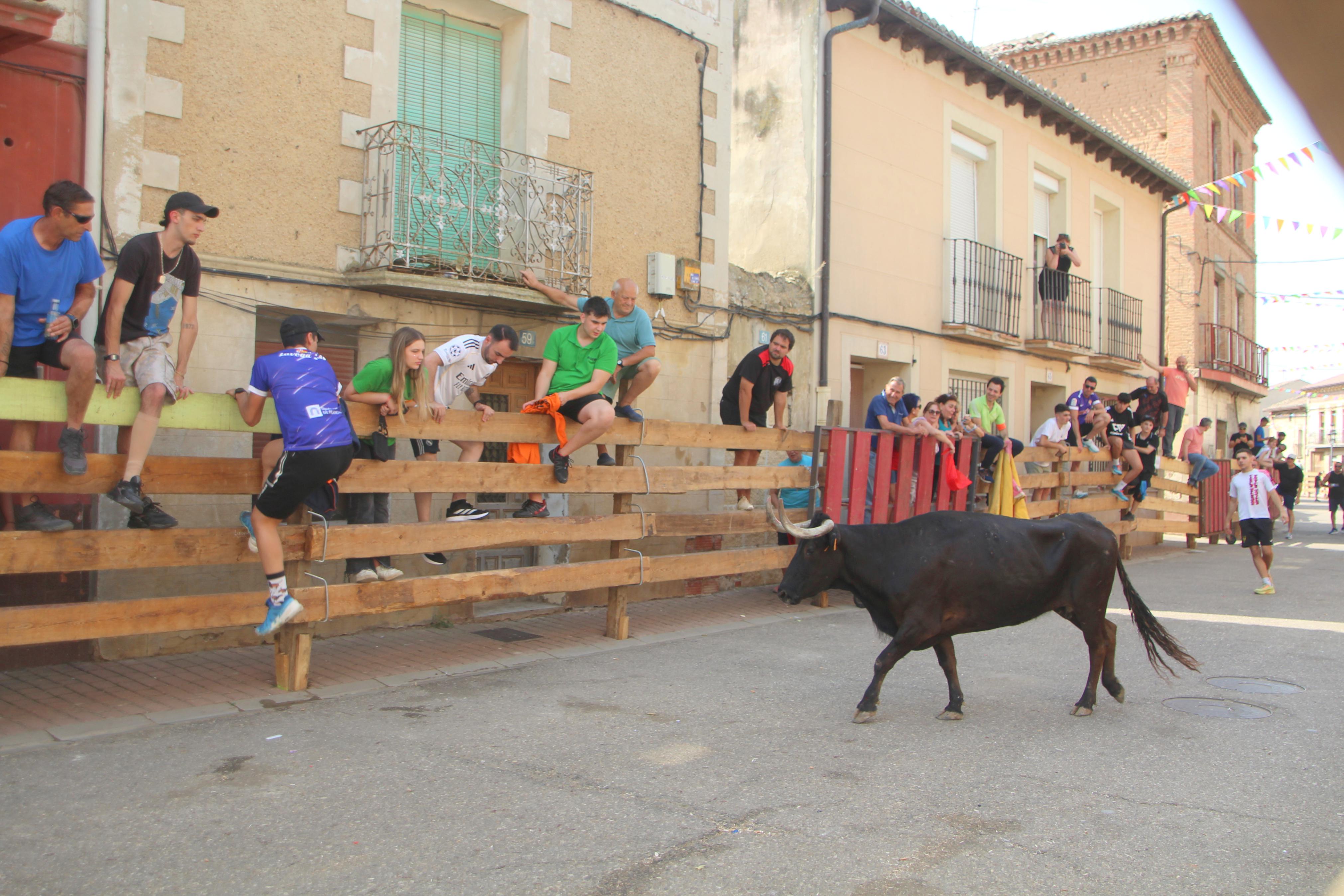 Torquemada disfruta de los Encierros