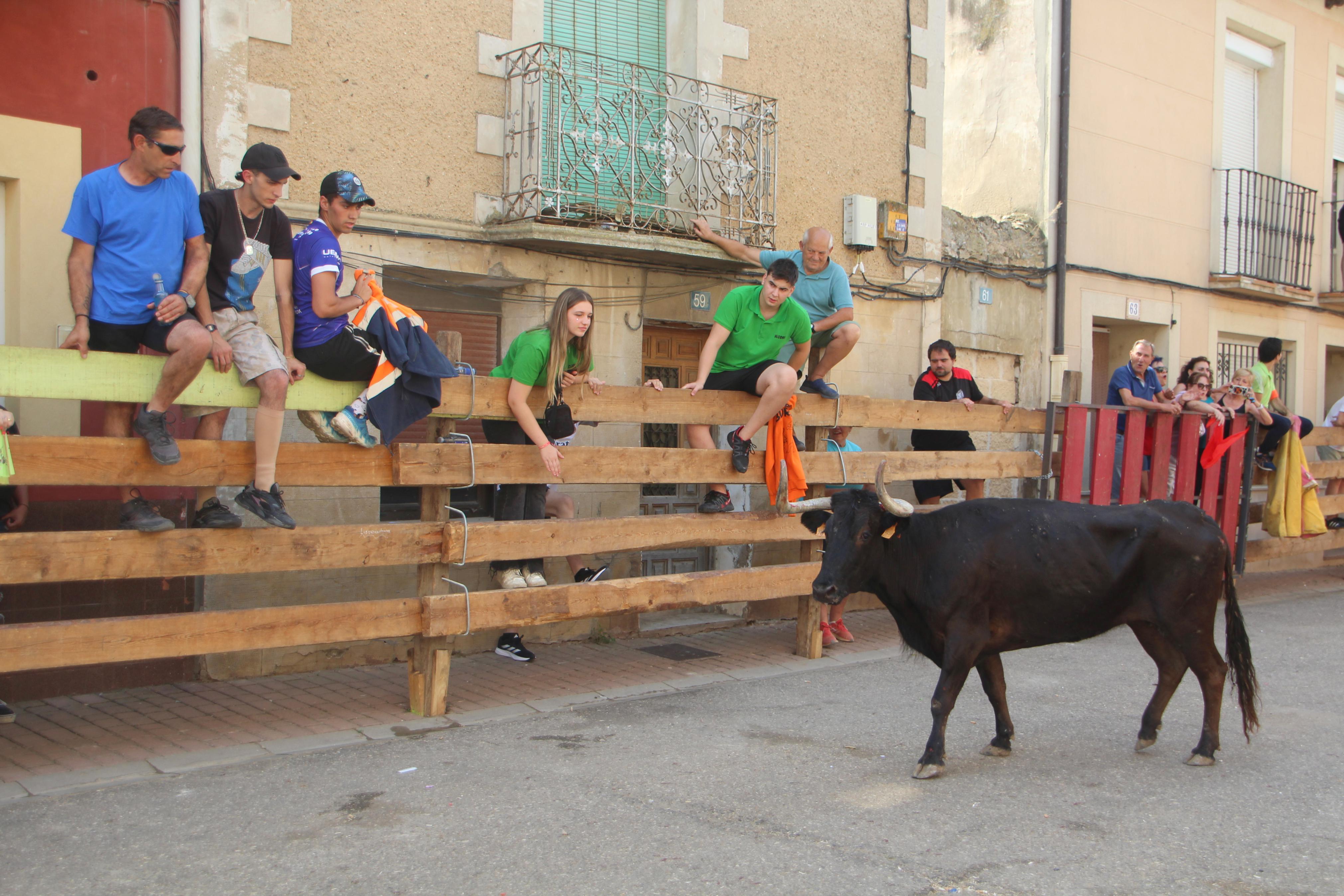 Torquemada disfruta de los Encierros