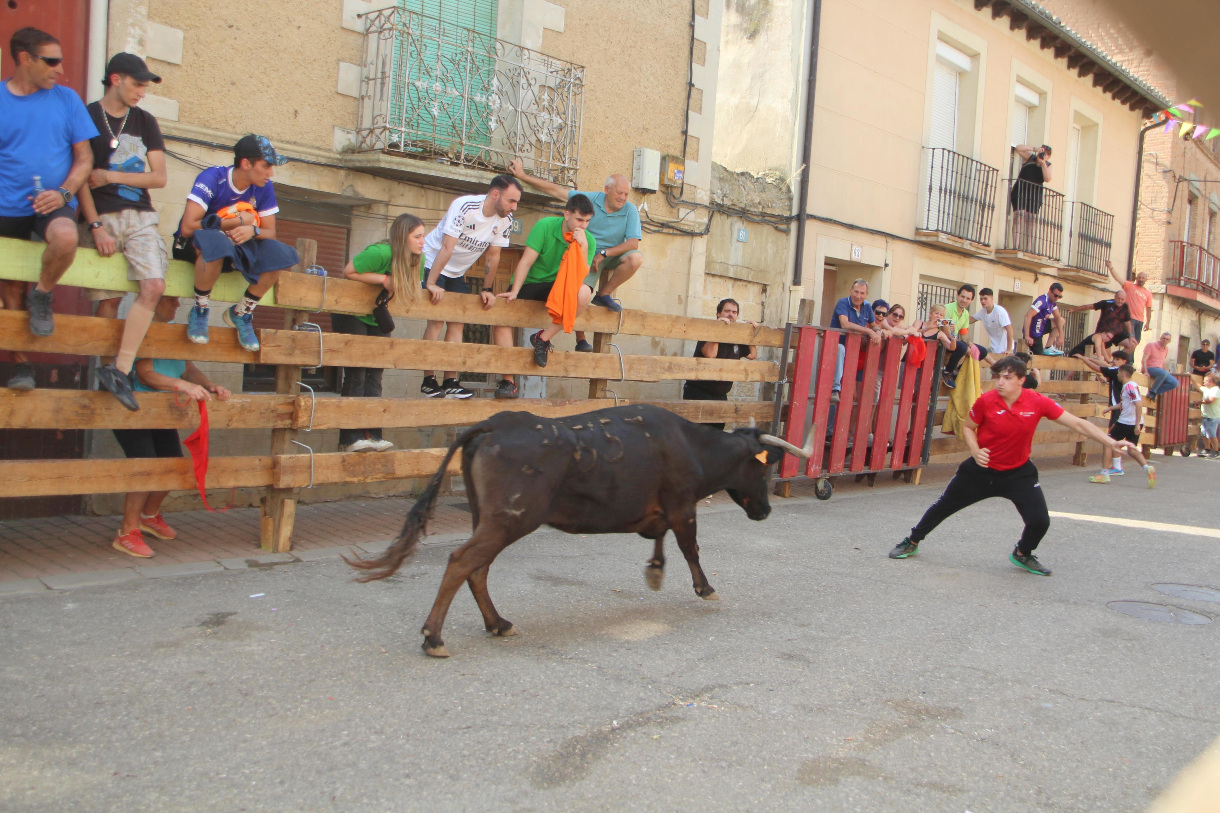 Torquemada disfruta de los Encierros