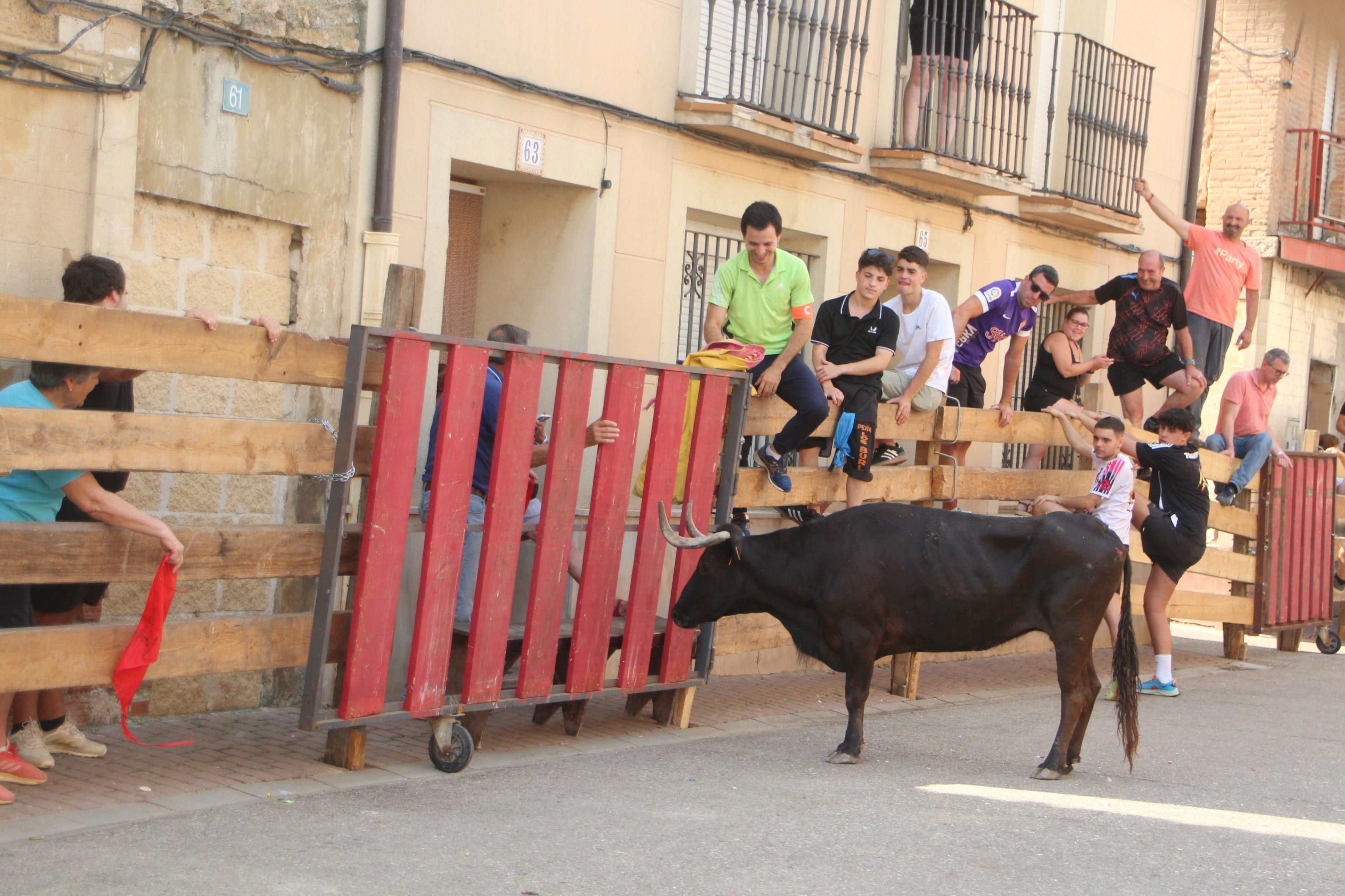 Torquemada disfruta de los Encierros