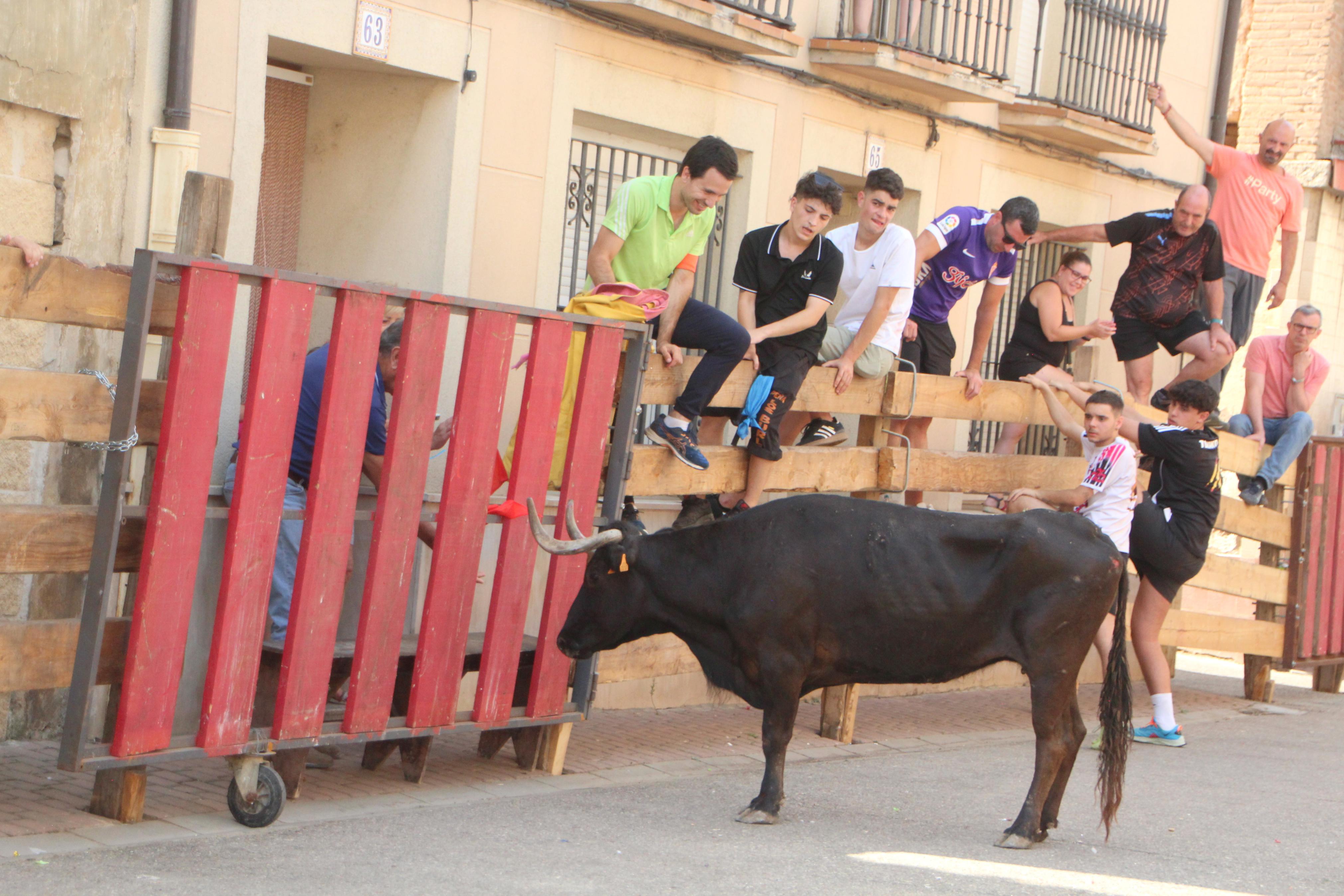 Torquemada disfruta de los Encierros