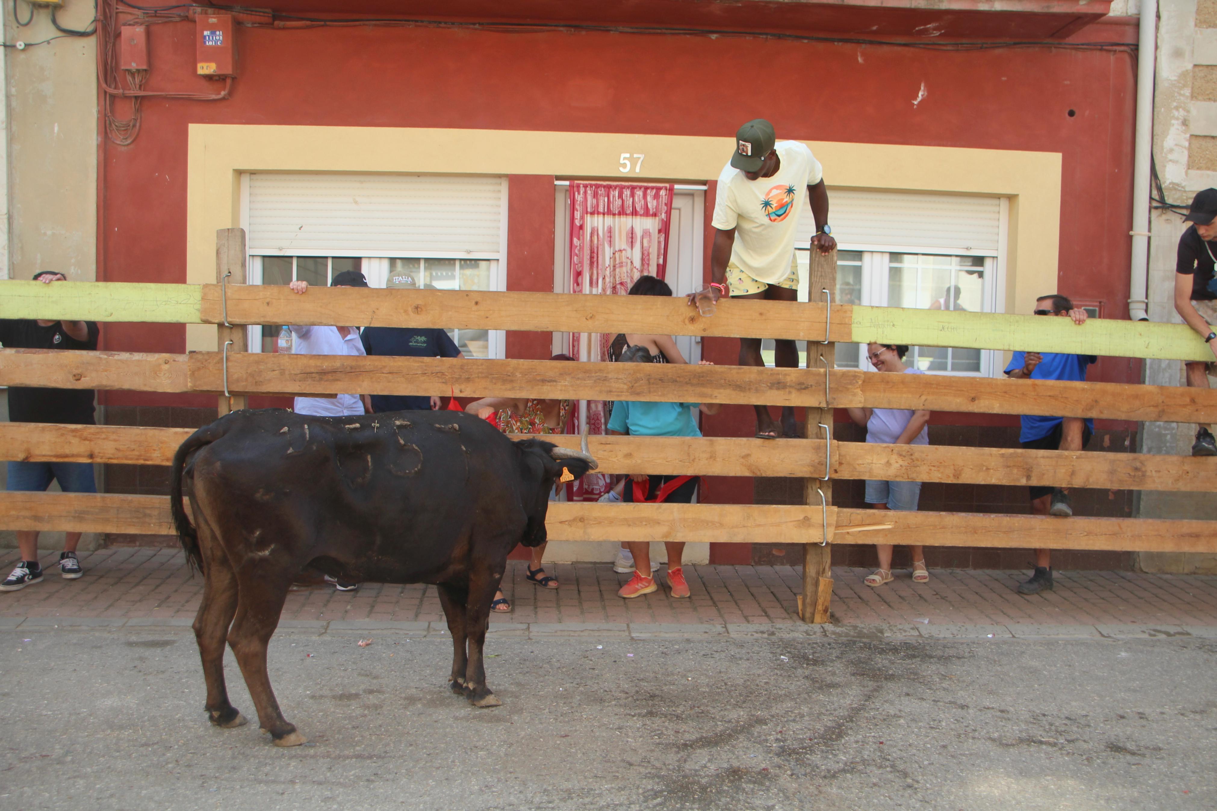 Torquemada disfruta de los Encierros