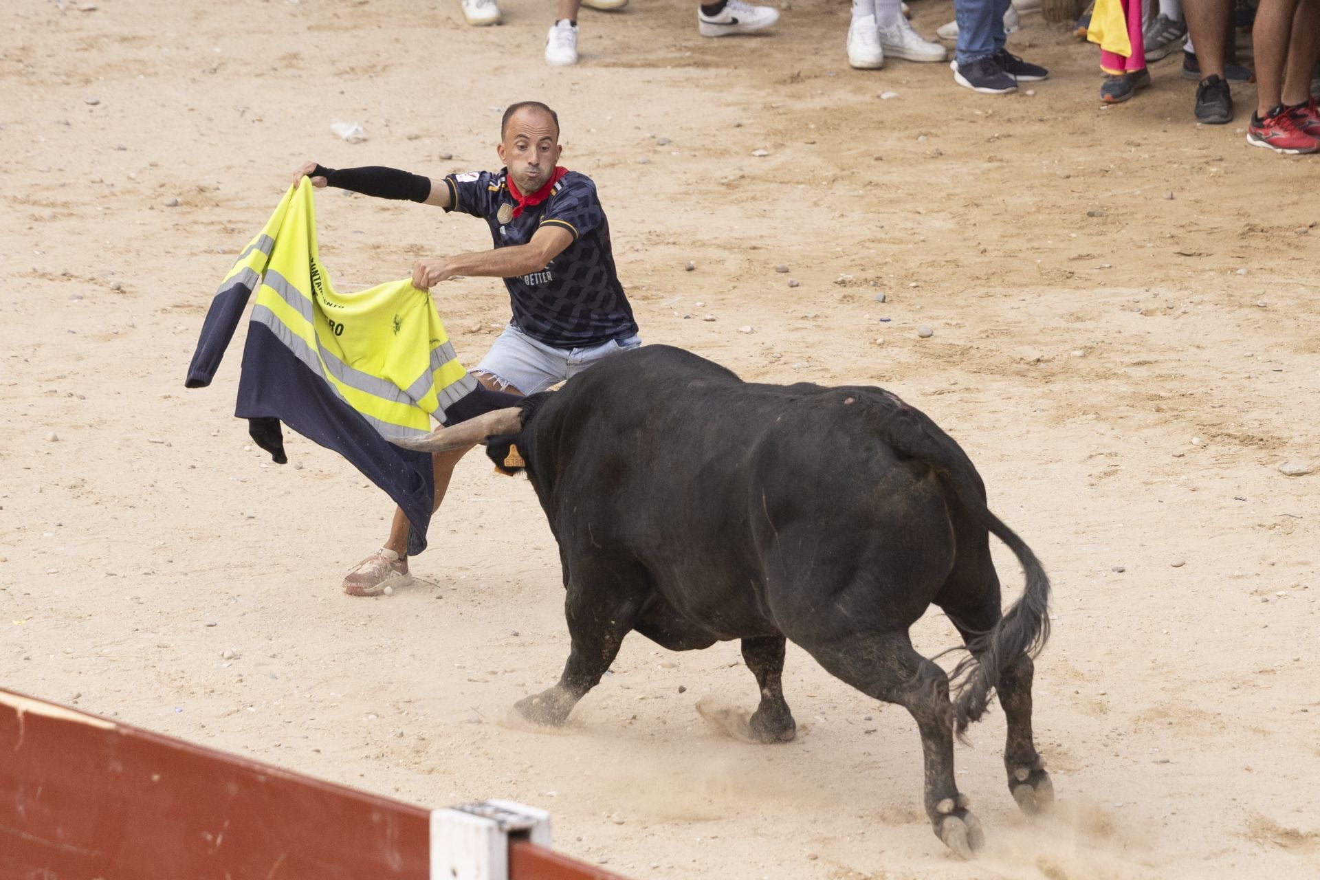 Encierro y capea del domingo en las fiestas de Peñafiel