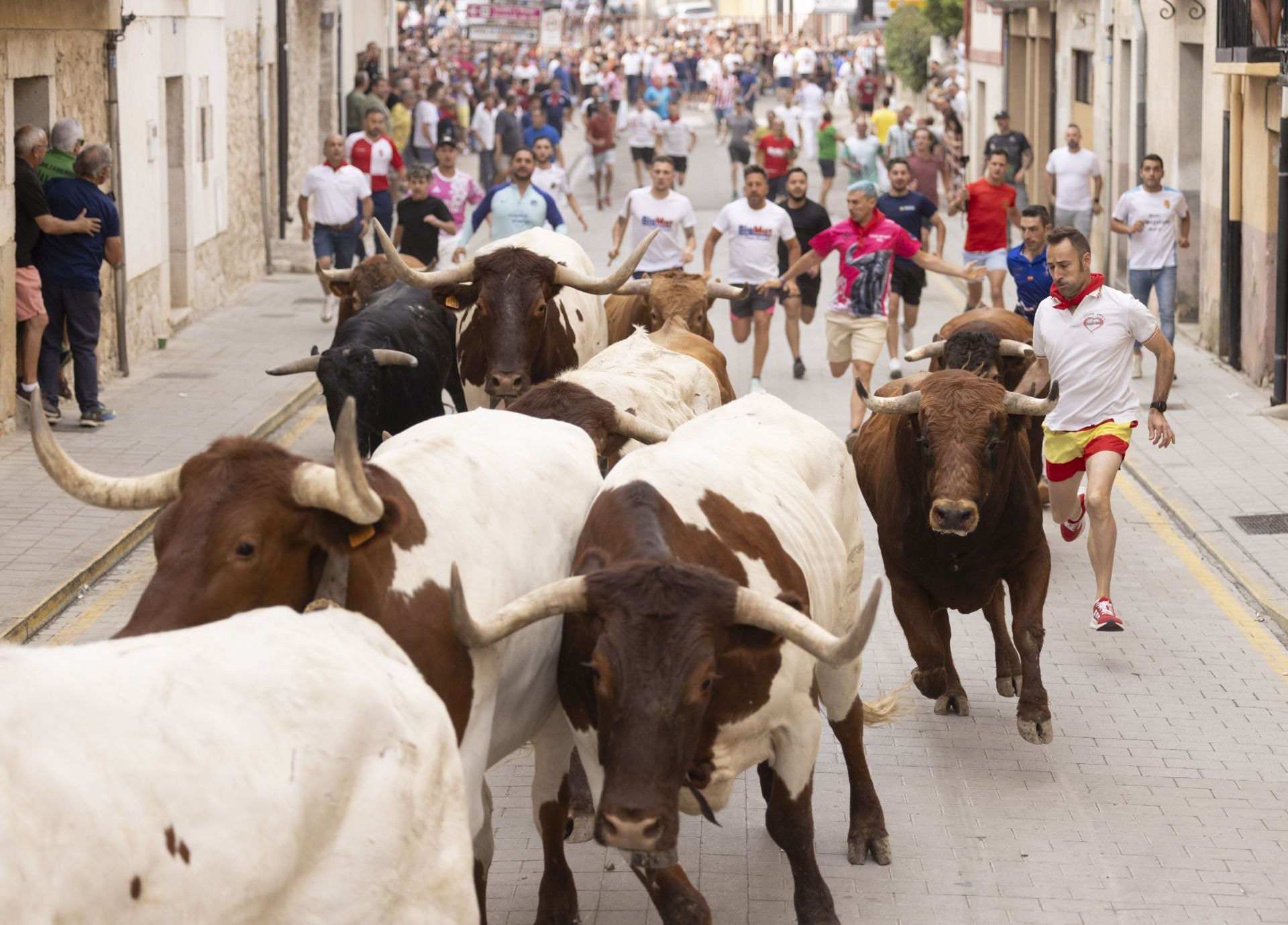 Encierro y capea del domingo en las fiestas de Peñafiel