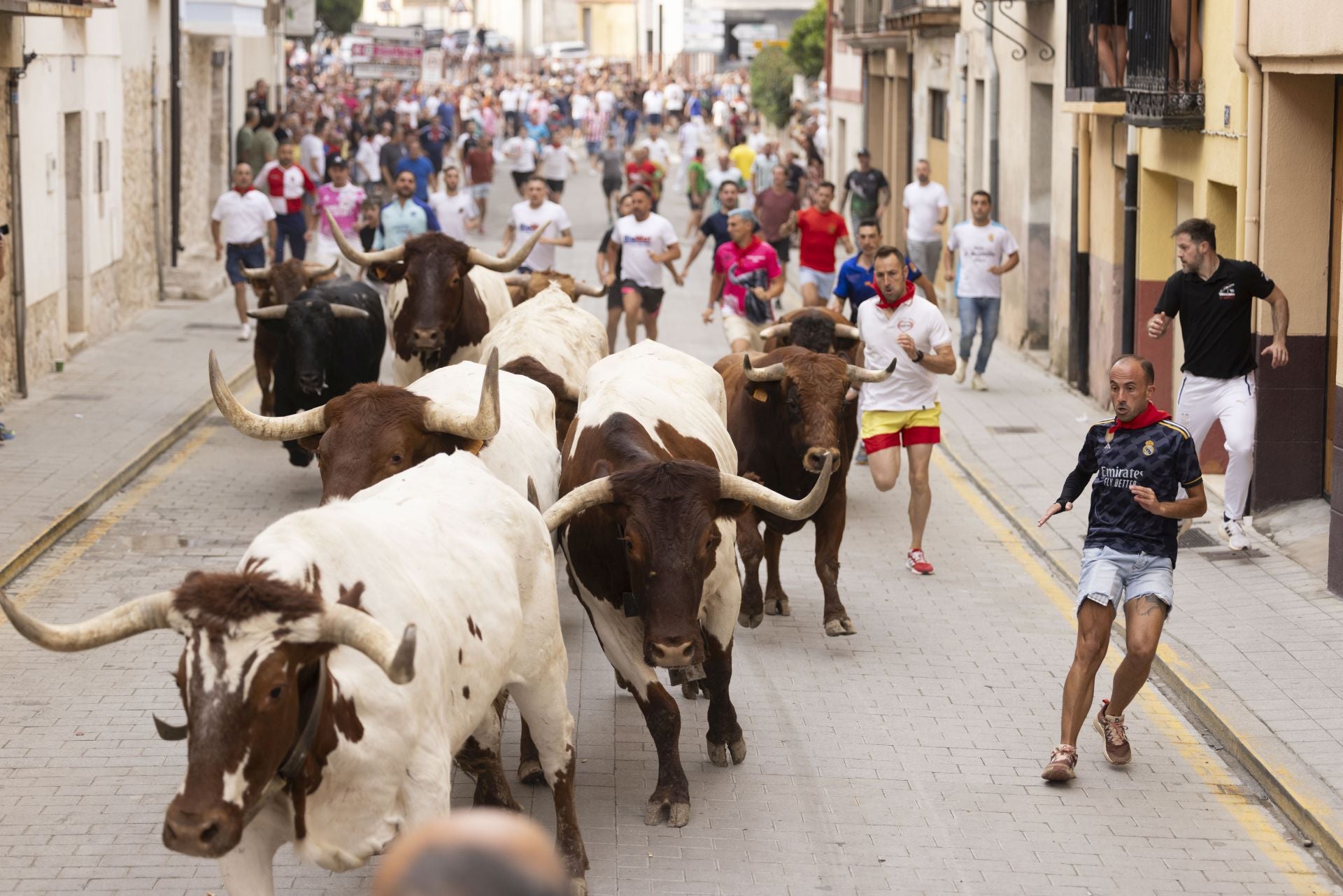 Encierro y capea del domingo en las fiestas de Peñafiel