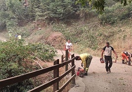Los vecinos de la zona de Valdeón, contra los incendios