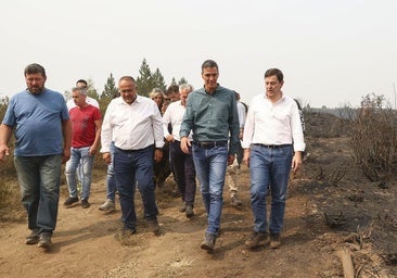 Pedro Sánchez visitará mañana zonas afectadas por el incendio de Molezuelas de la Carballeda en Zamora