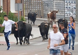 Corredores delante de los novillos durante el encierro urbano esta mañana.