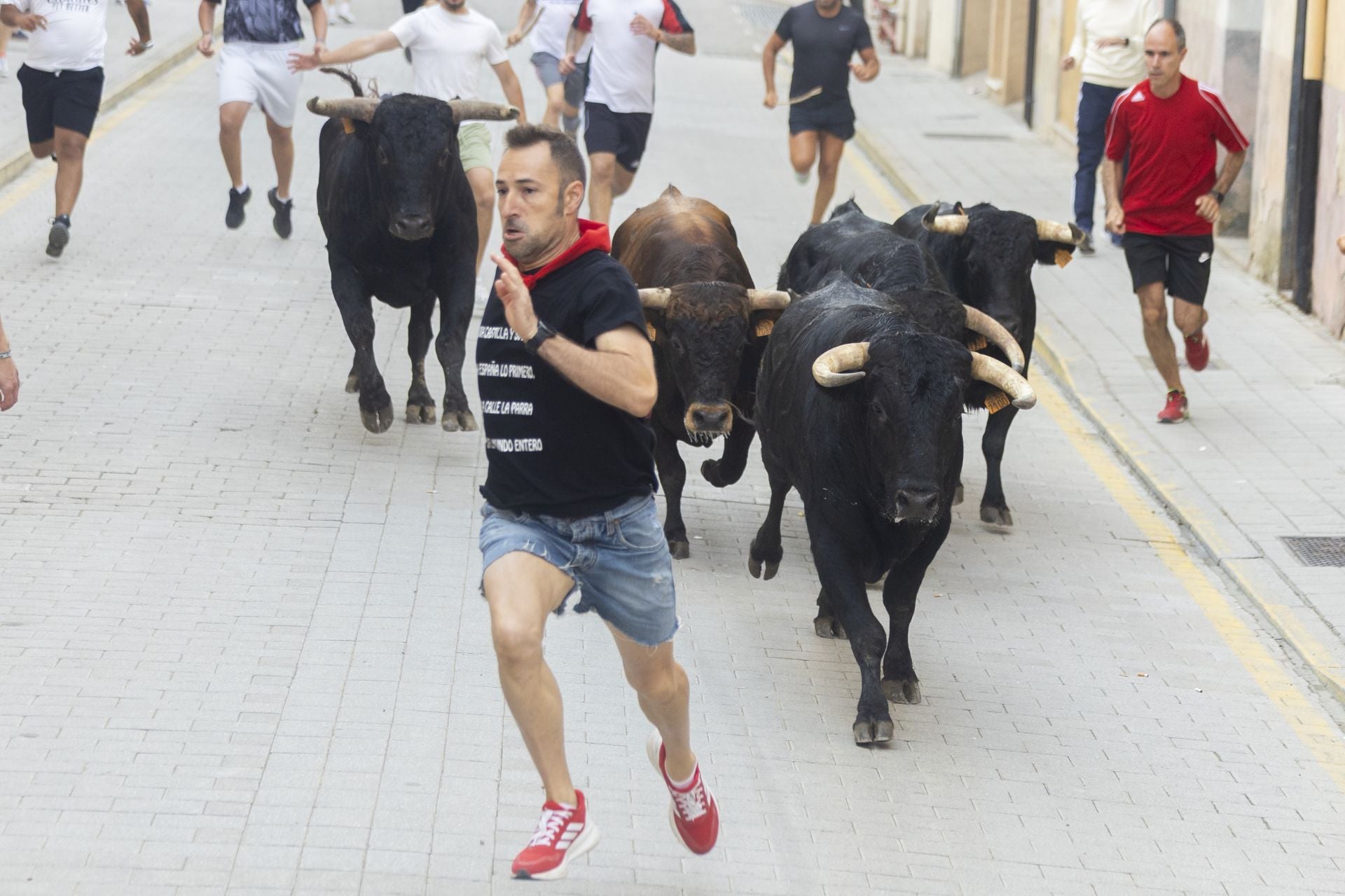El último encierro de Peñafiel, en imágenes